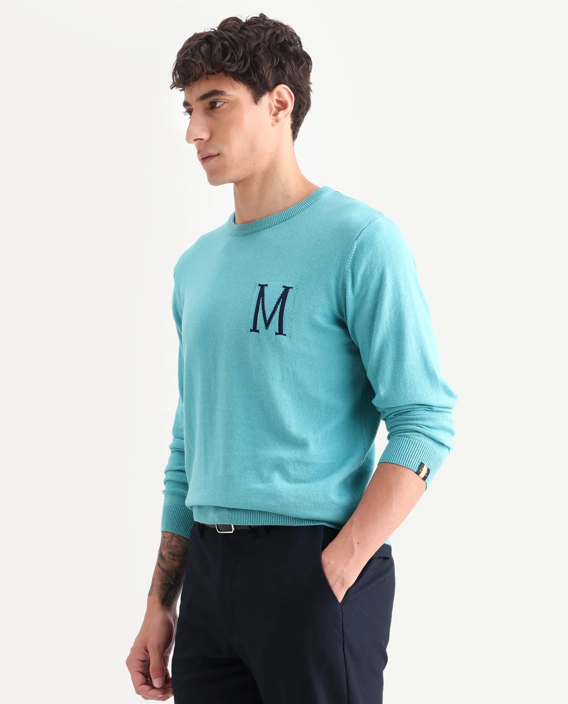 Rare Rabbit Men's Alba Blue Cotton Jacquard Regular Fit Full Sleeve Crew Neck Sweater - Image 5
