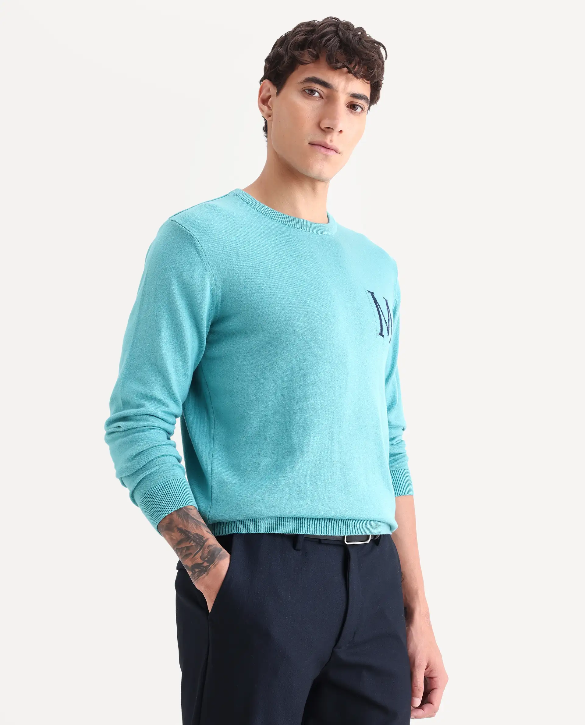 Rare Rabbit Men's Alba Blue Cotton Jacquard Regular Fit Full Sleeve Crew Neck Sweater - Image 6