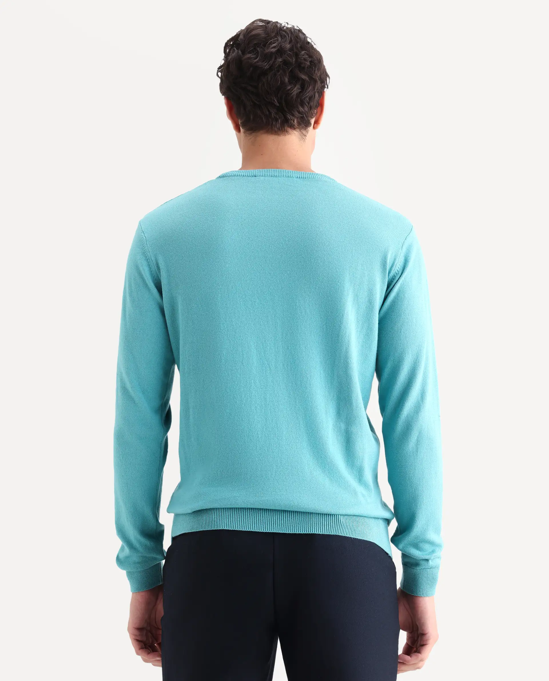 Rare Rabbit Men's Alba Blue Cotton Jacquard Regular Fit Full Sleeve Crew Neck Sweater - Image 7