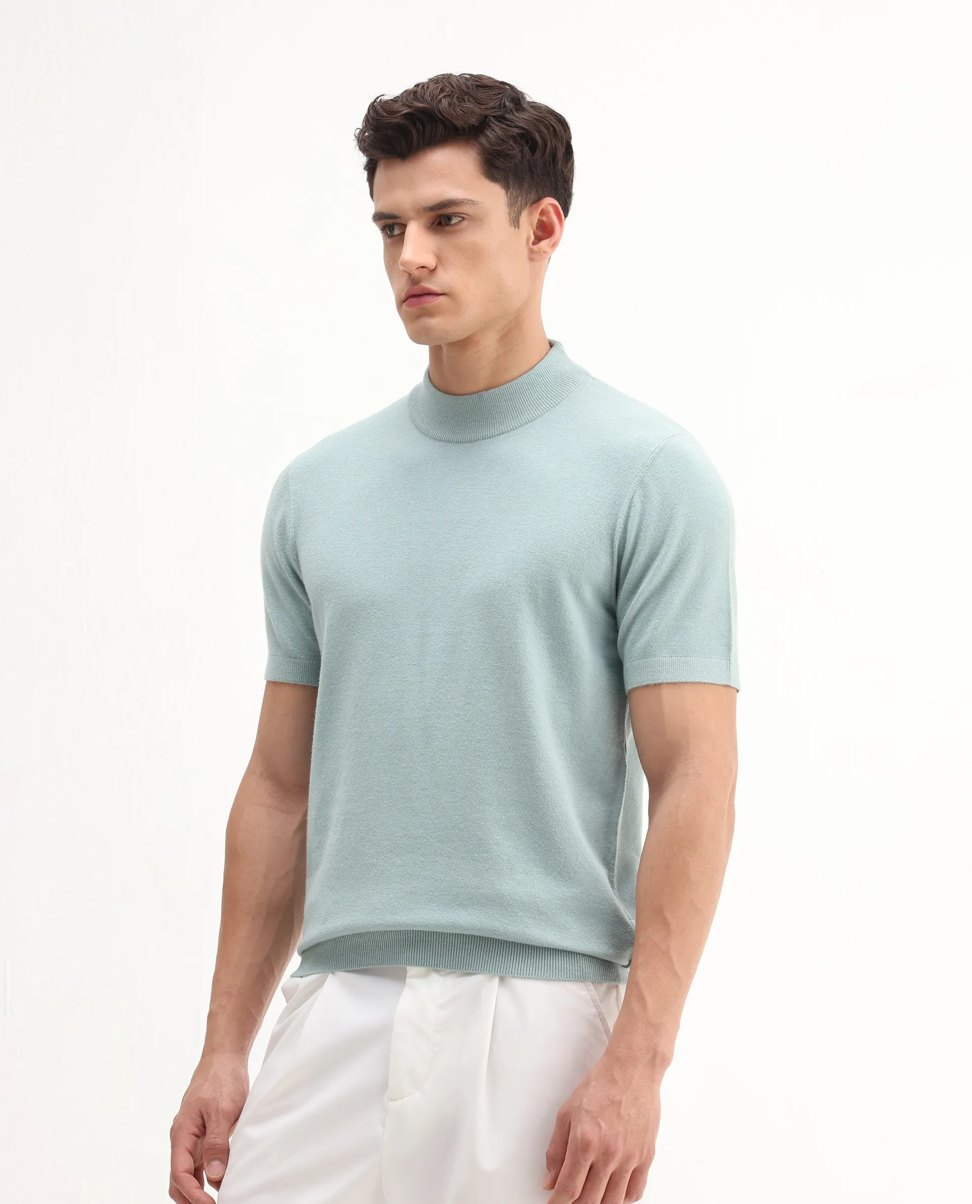 Rare Rabbit Men's Alfet-25 Dusky Green Viscose Plain Regular Fit Half Sleeve High Neck T-Shirt - Image 4