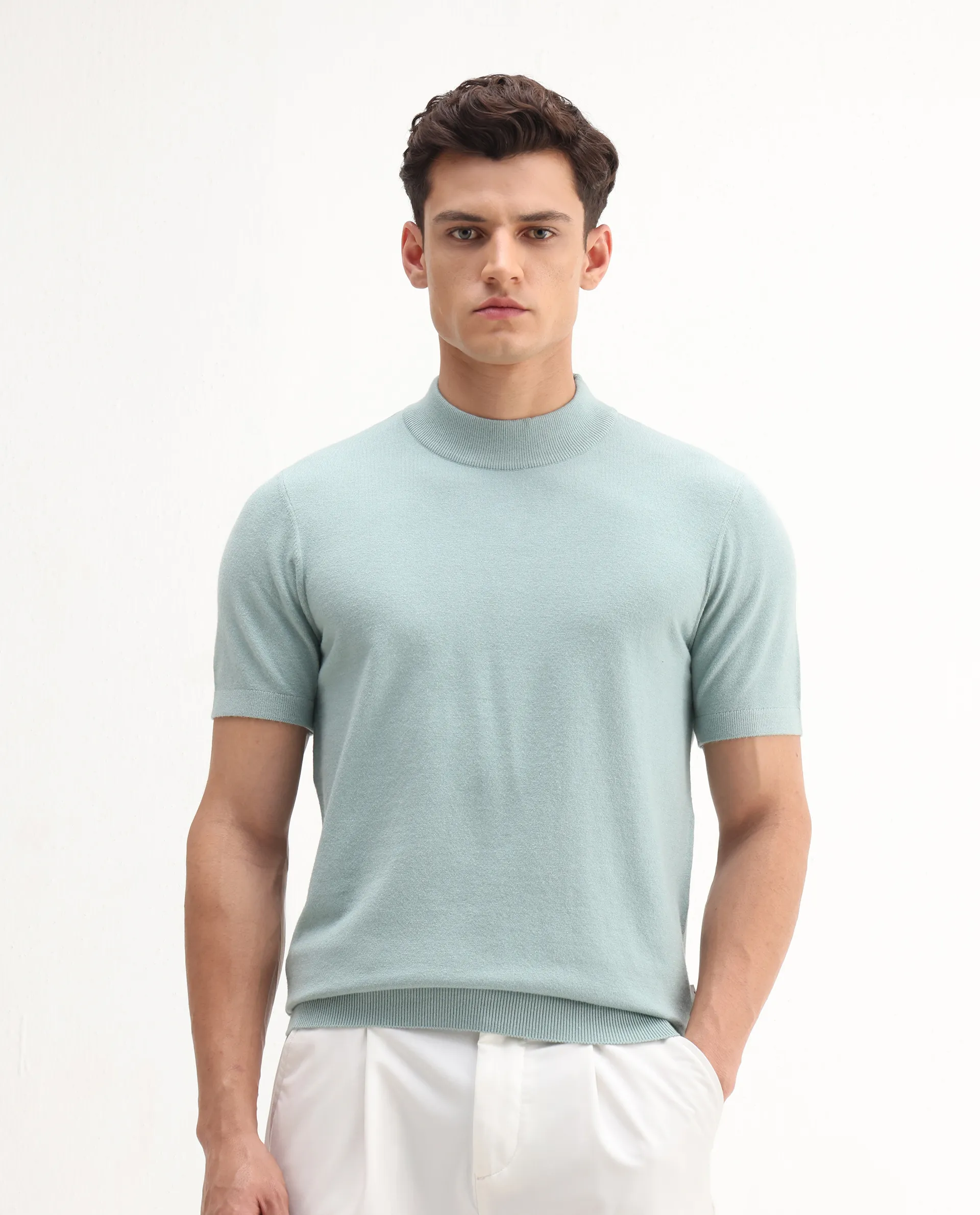 Rare Rabbit Men's Alfet-25 Dusky Green Viscose Plain Regular Fit Half Sleeve High Neck T-Shirt - Image 5