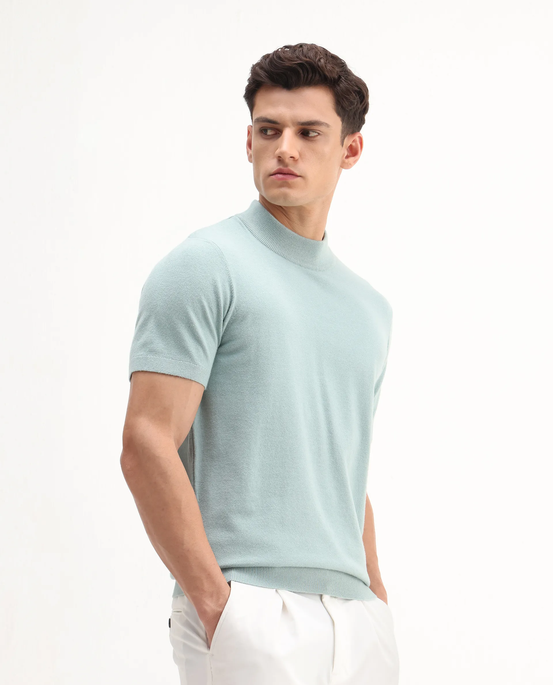 Rare Rabbit Men's Alfet-25 Dusky Green Viscose Plain Regular Fit Half Sleeve High Neck T-Shirt - Image 6