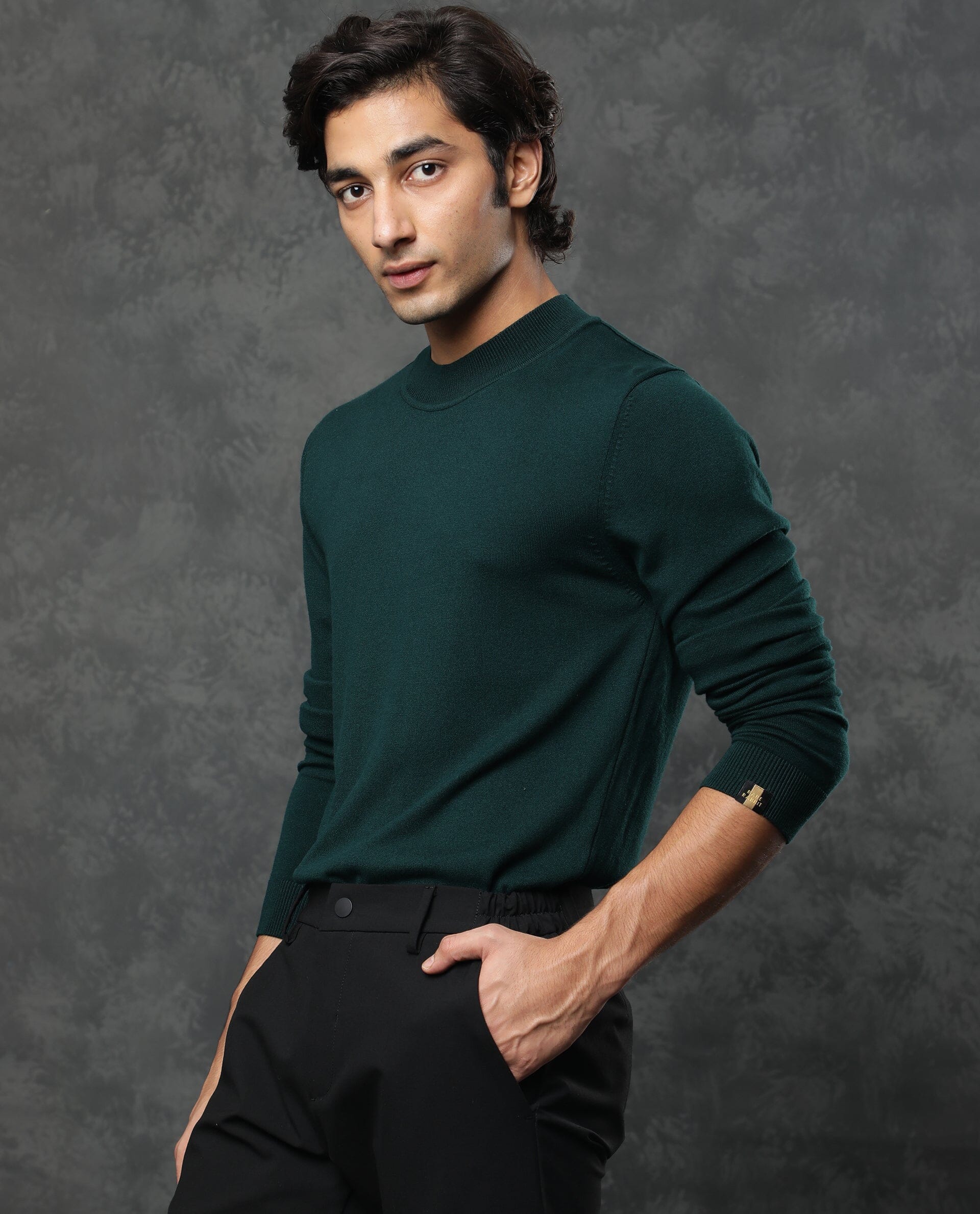 Rare Rabbit Men's Alfo Green Plain Slim Fit Full Sleeve High Neck Sweater - Image 3