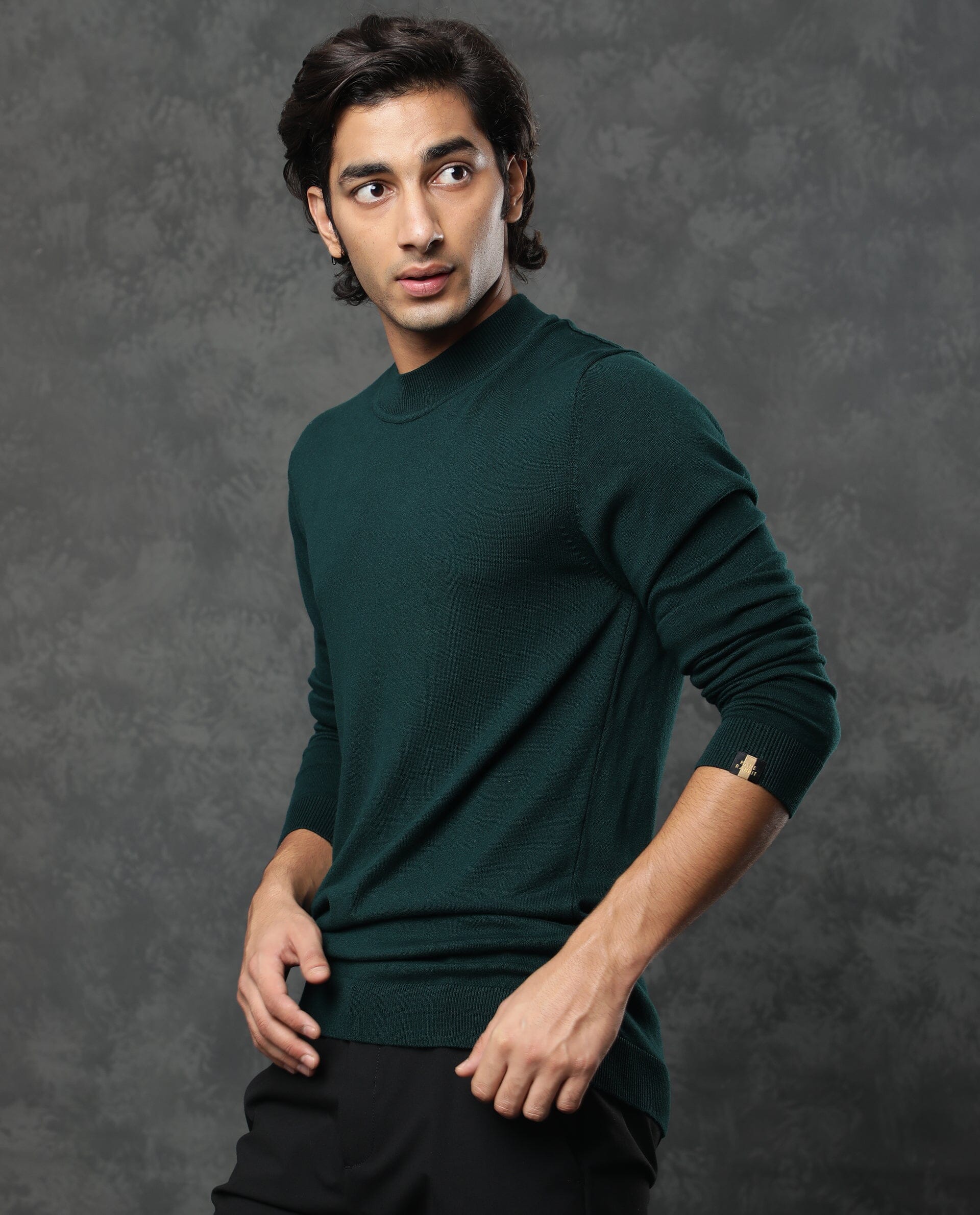 Rare Rabbit Men's Alfo Green Plain Slim Fit Full Sleeve High Neck Sweater - Image 6