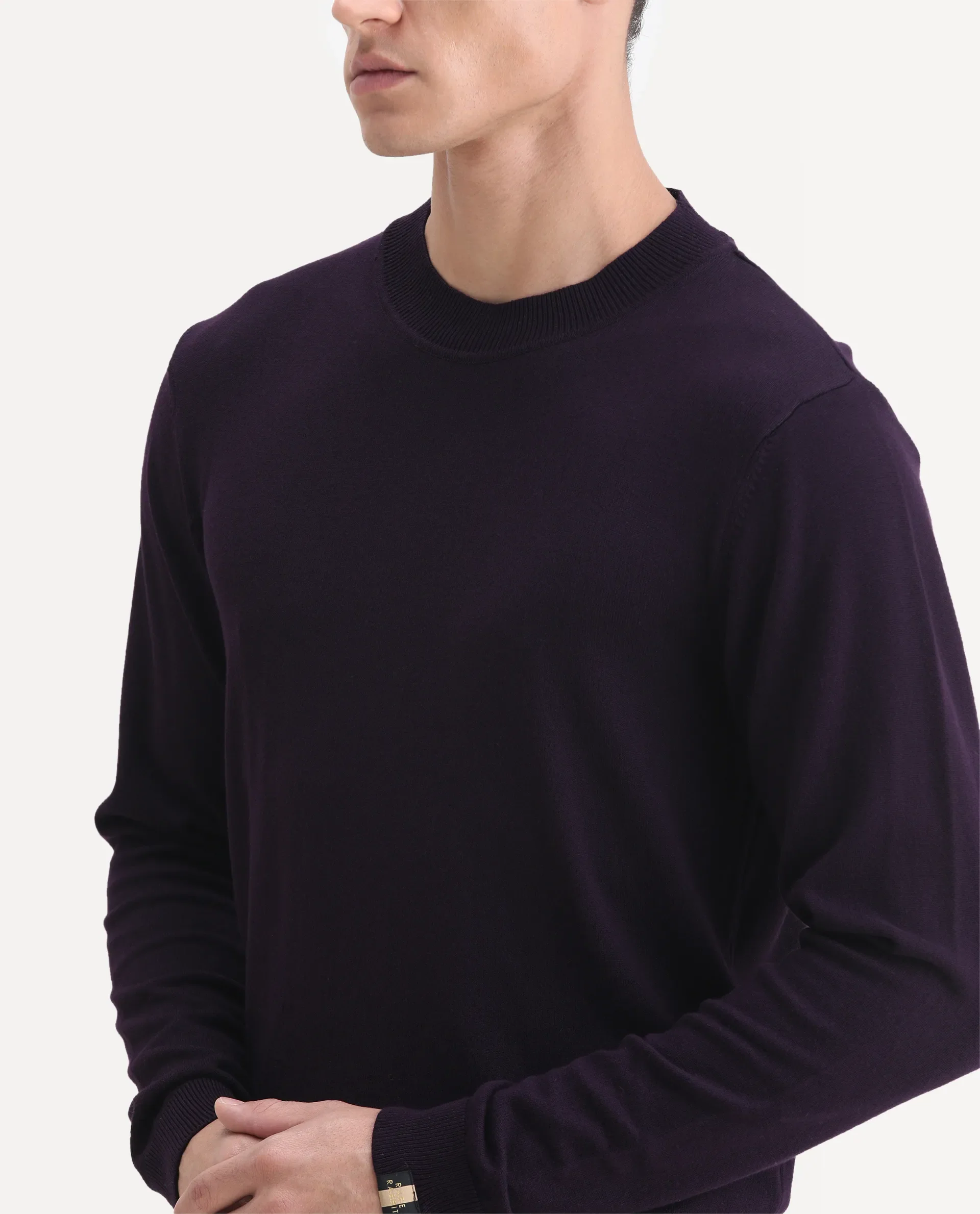 Rare Rabbit Men's Alfo Purple Plain Slim Fit Full Sleeve High Neck Sweater - Image 3