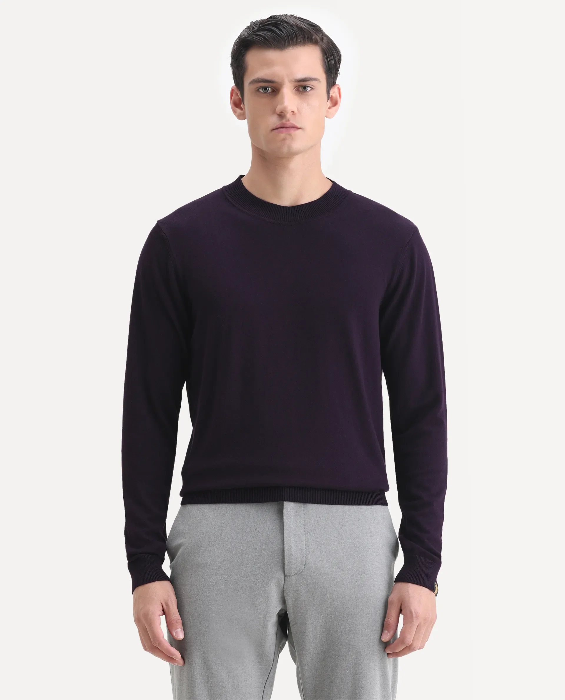 Rare Rabbit Men's Alfo Purple Plain Slim Fit Full Sleeve High Neck Sweater - Image 4
