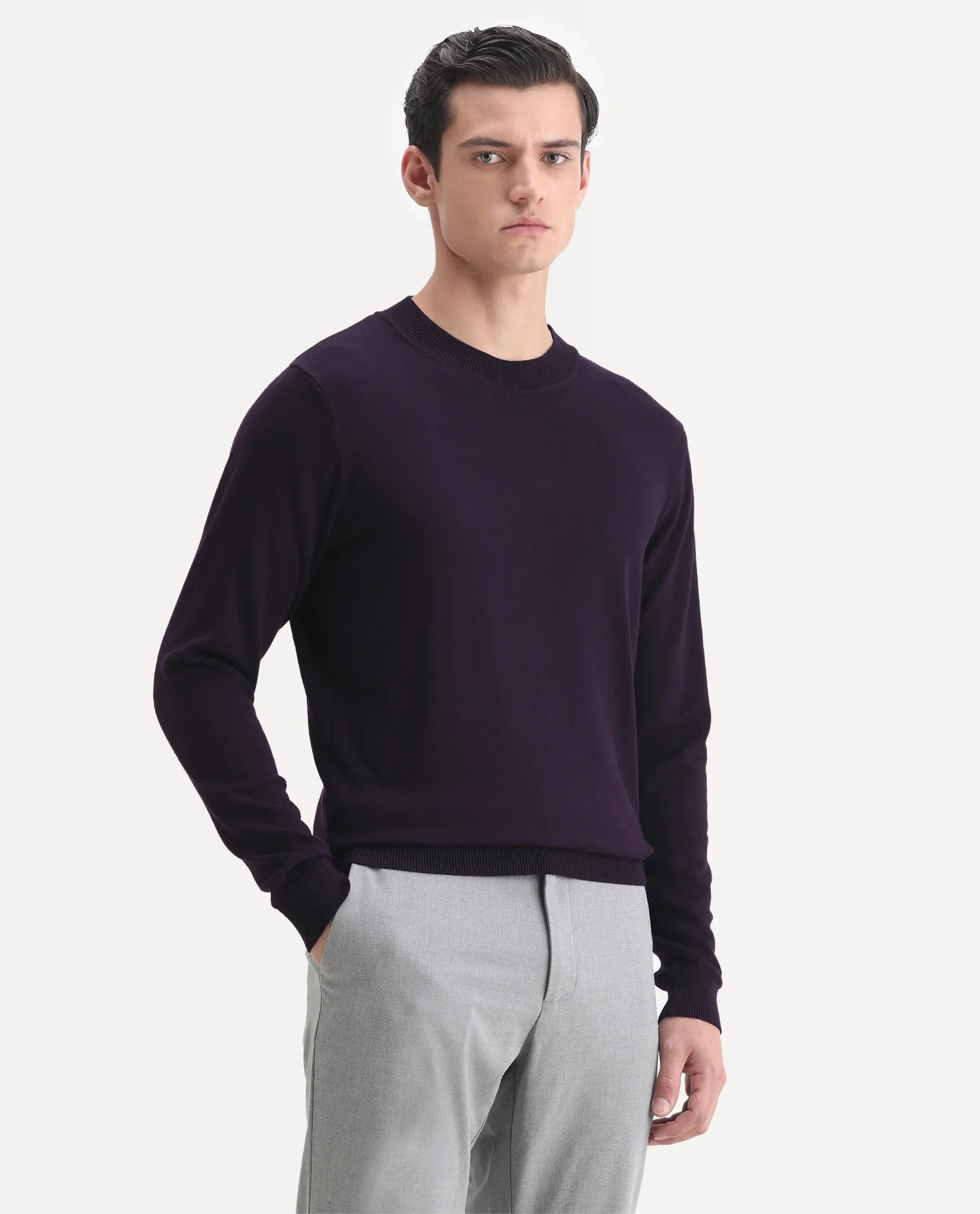 Rare Rabbit Men's Alfo Purple Plain Slim Fit Full Sleeve High Neck Sweater - Image 5