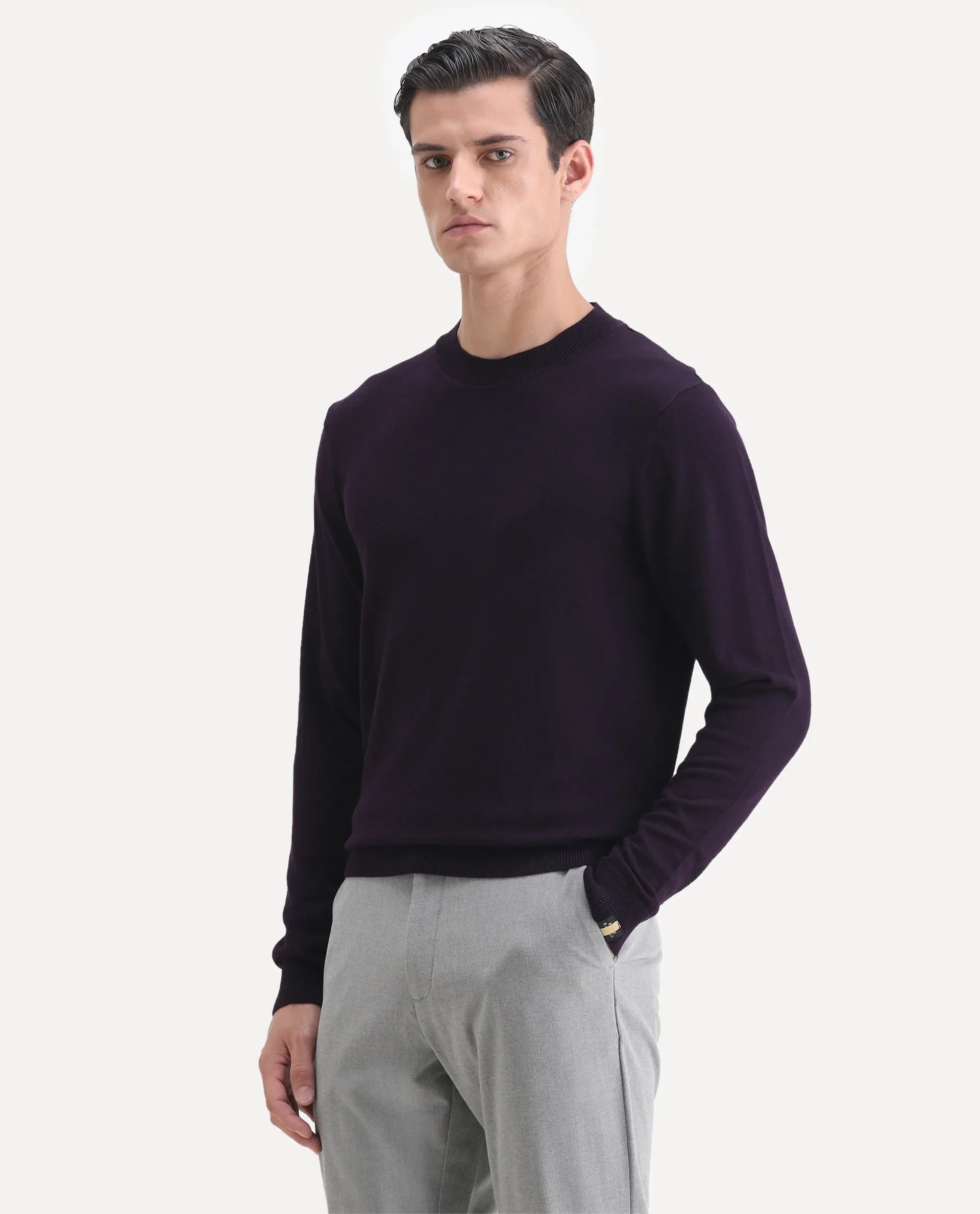 Rare Rabbit Men's Alfo Purple Plain Slim Fit Full Sleeve High Neck Sweater - Image 6