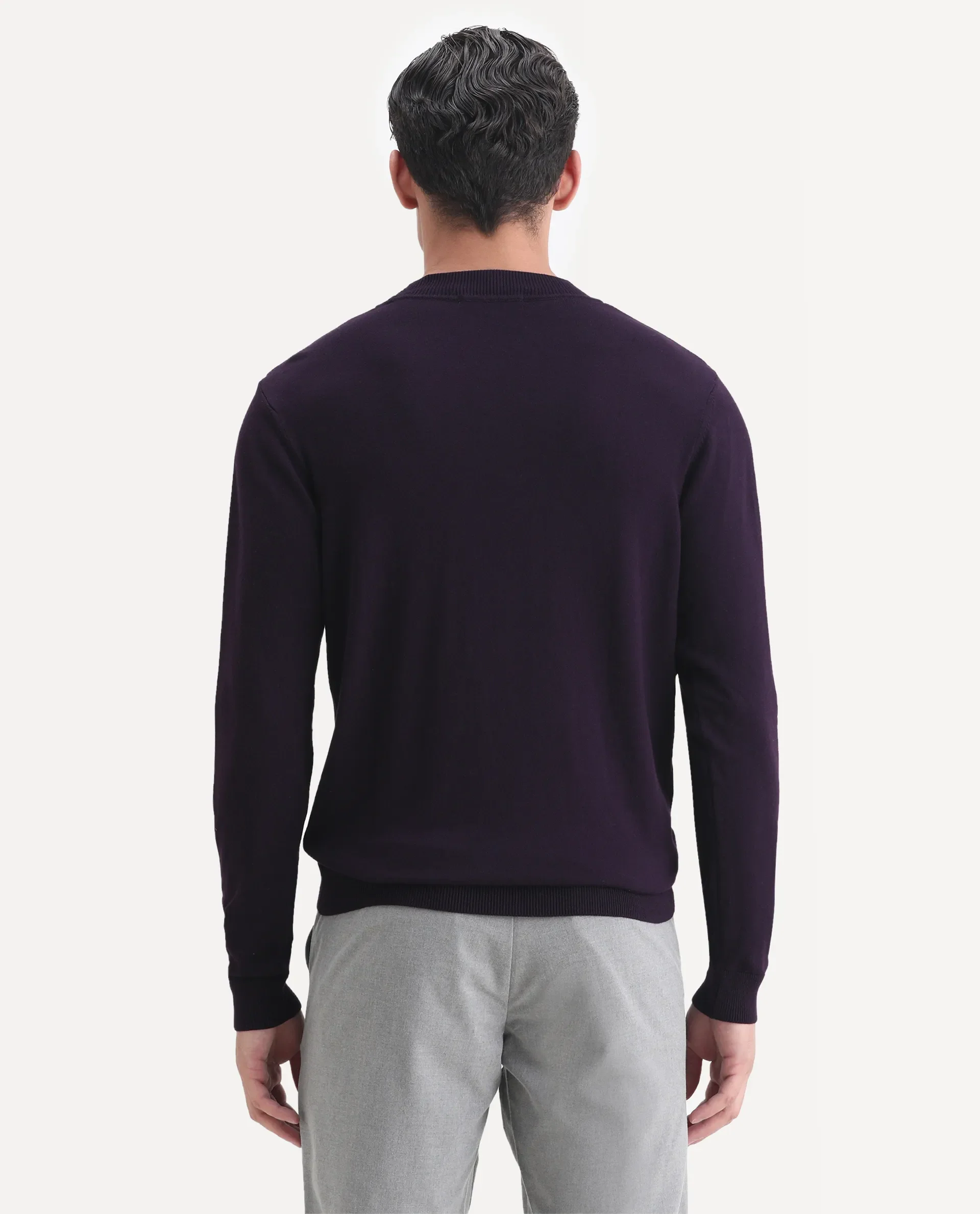 Rare Rabbit Men's Alfo Purple Plain Slim Fit Full Sleeve High Neck Sweater - Image 7