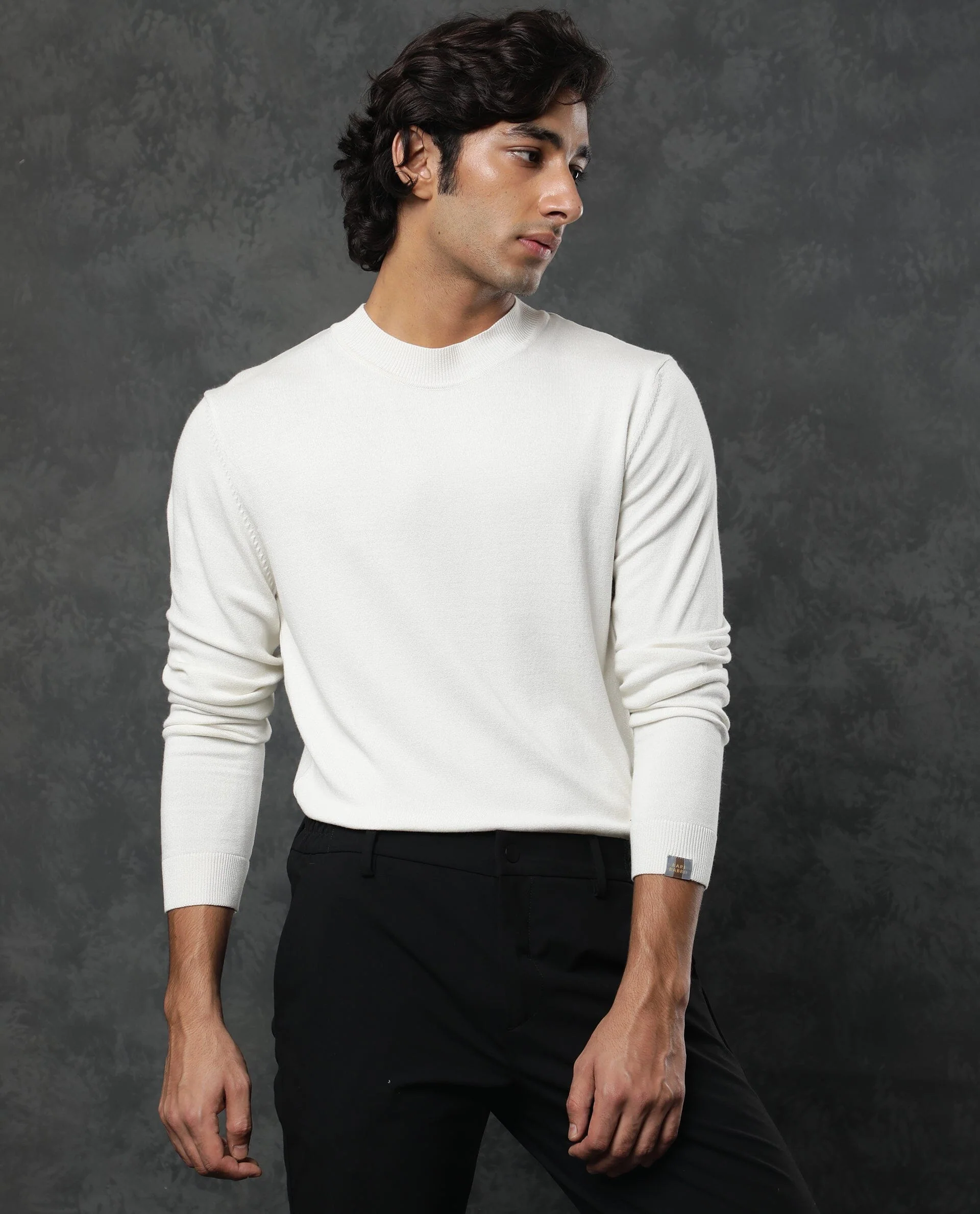 Rare Rabbit Men's Alfo White Viscose Plain Slim Fit Full Sleeve High Neck Sweater - Image 5