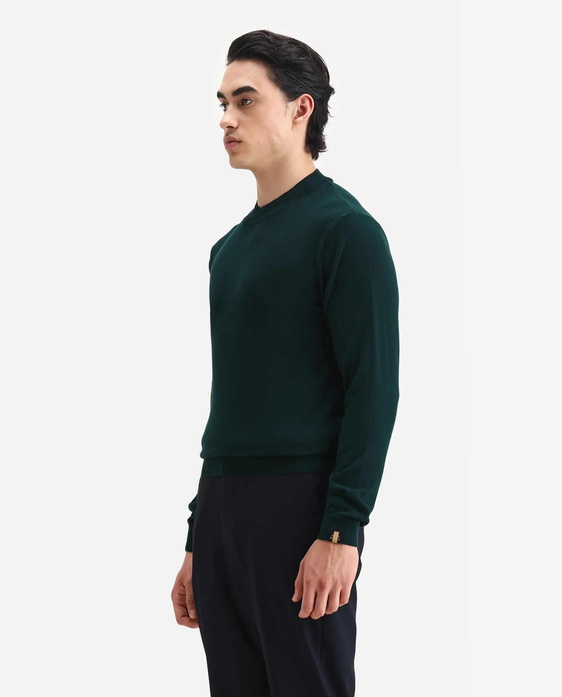 Rare Rabbit Men's Alfo 1 Green Viscose Plain Slim Fit Full Sleeve High Neck Sweater - Image 4