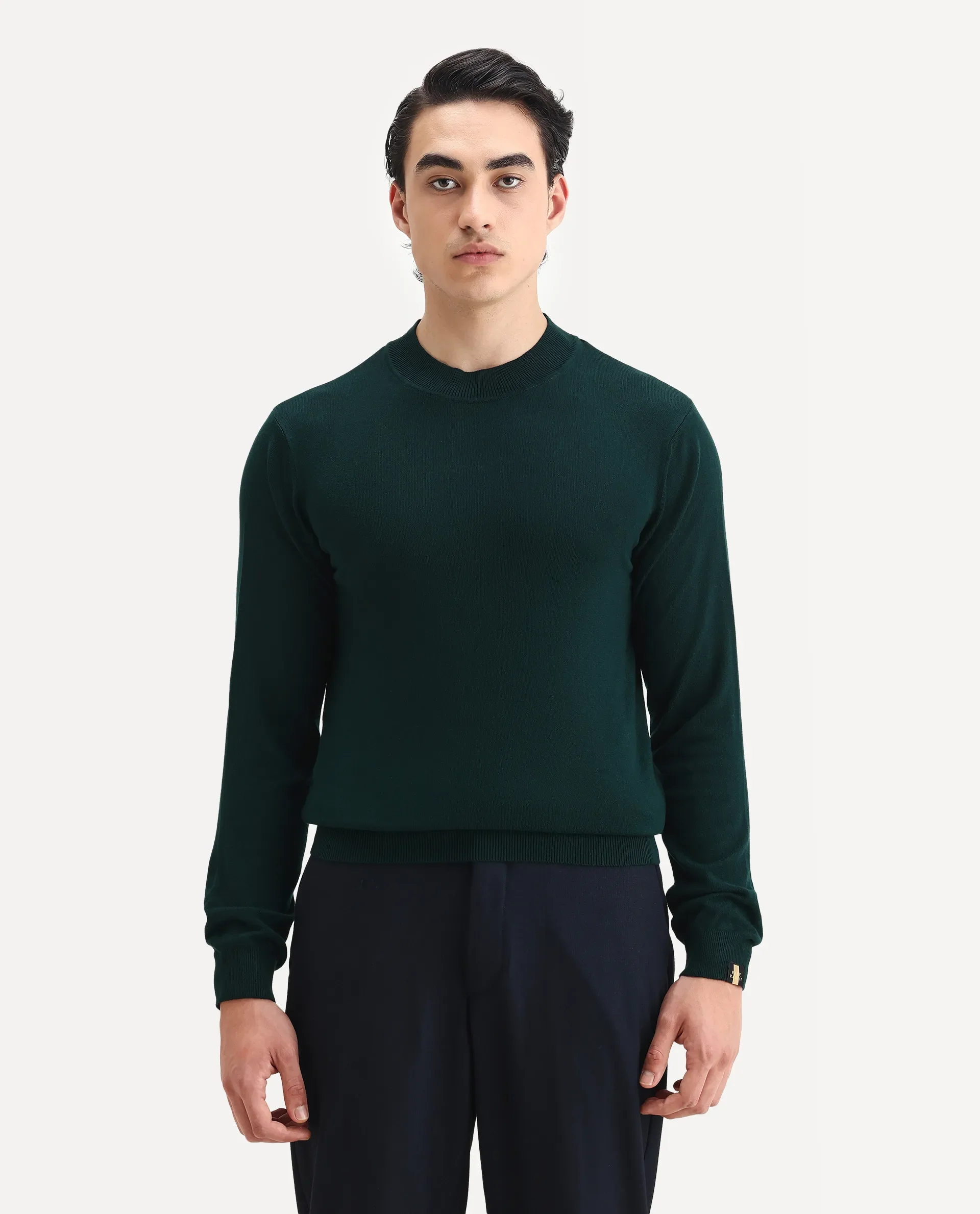 Rare Rabbit Men's Alfo 1 Green Viscose Plain Slim Fit Full Sleeve High Neck Sweater - Image 7