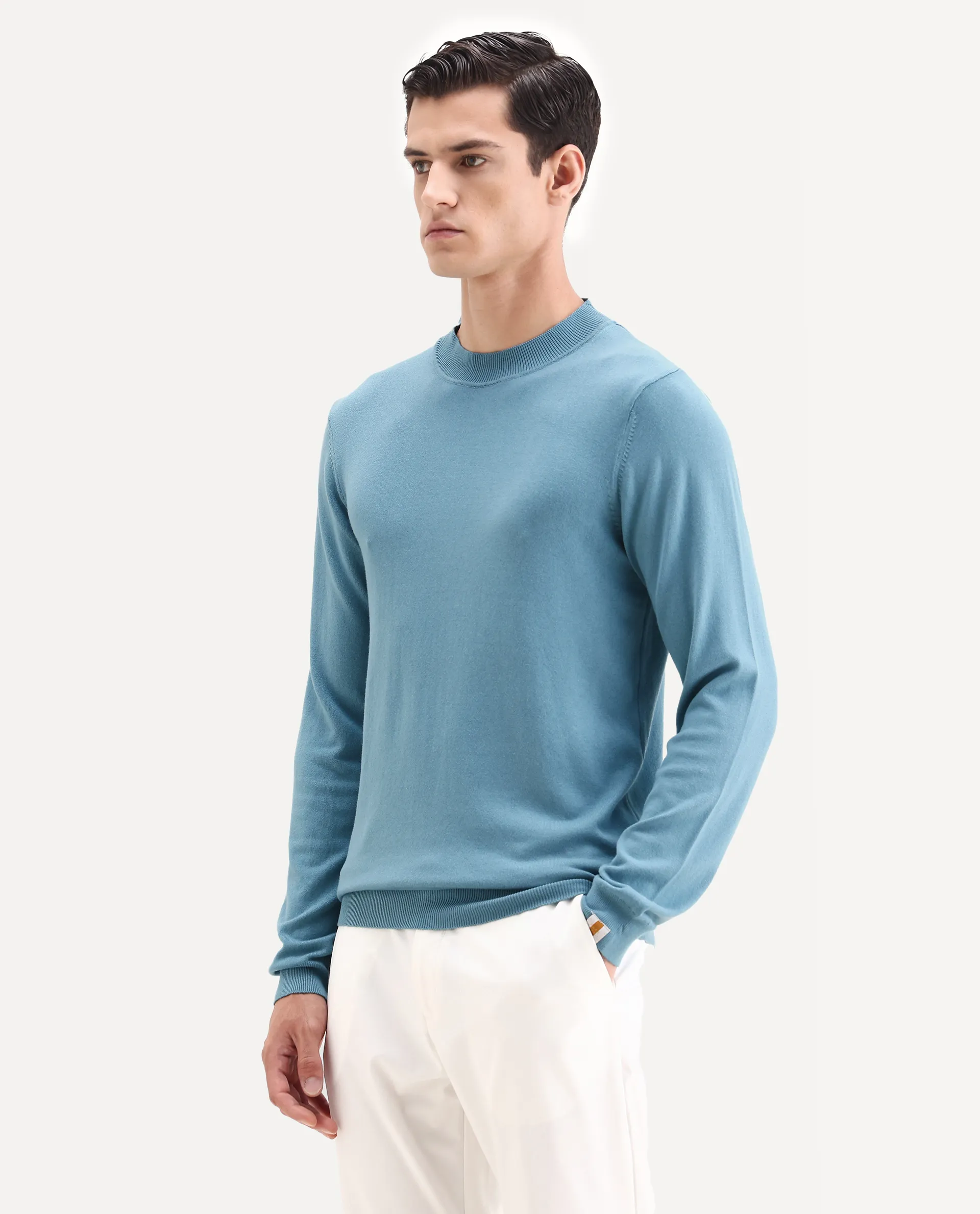 Rare Rabbit Men's Alfo 1 Light Blue Viscose Plain Slim Fit Full Sleeve High Neck Sweater - Image 4