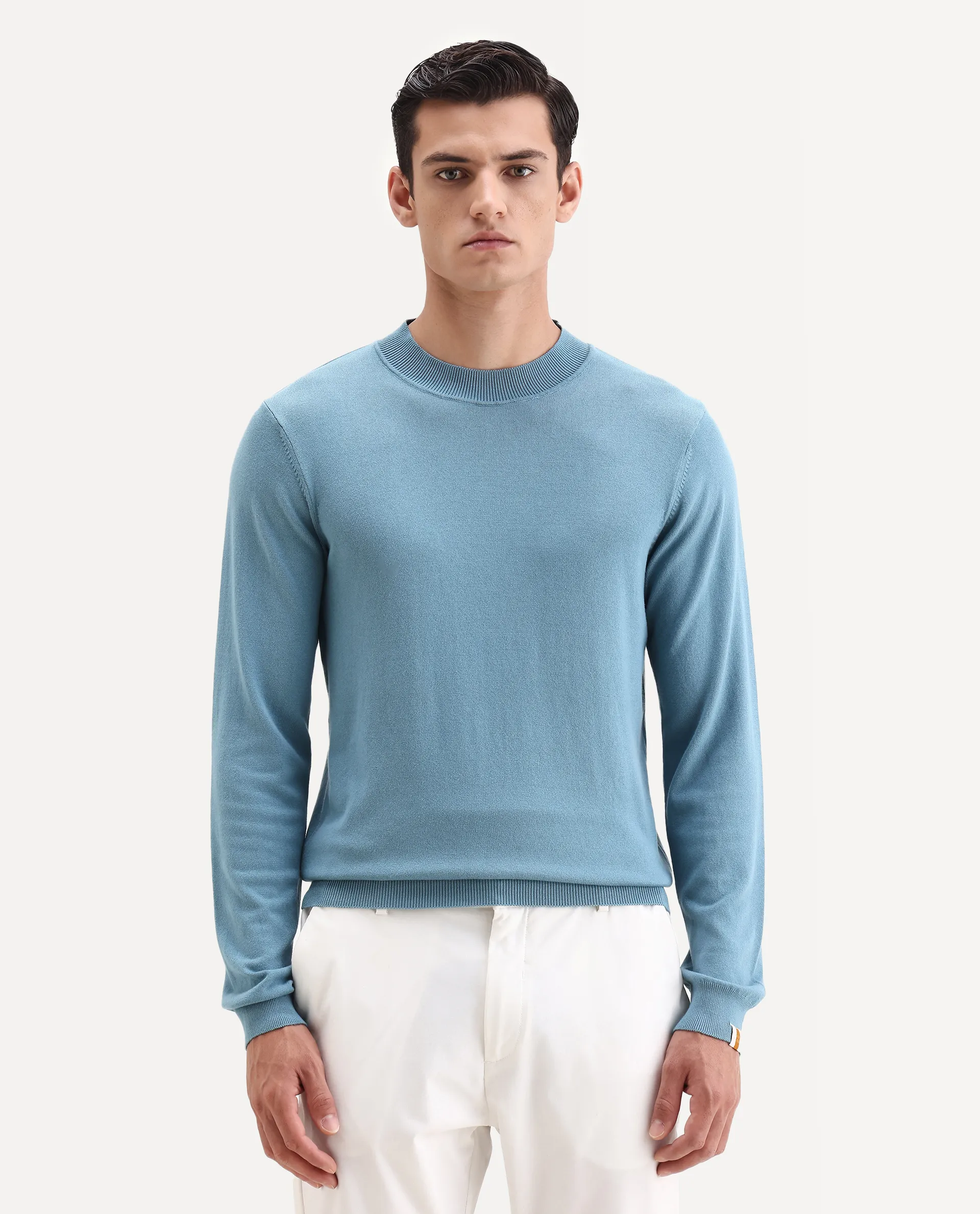 Rare Rabbit Men's Alfo 1 Light Blue Viscose Plain Slim Fit Full Sleeve High Neck Sweater - Image 6