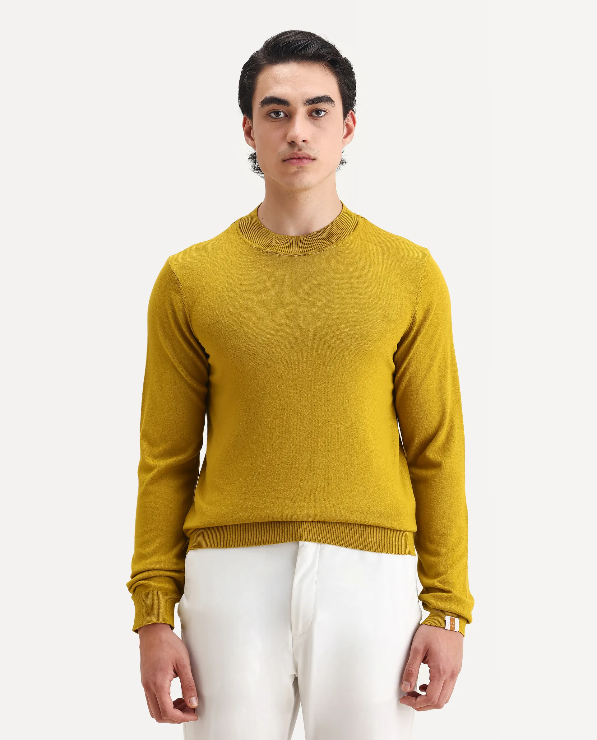 Rare Rabbit Men's Alfo 1 Mustard Viscose Plain Slim Fit Full Sleeve High Neck Sweater - Image 4