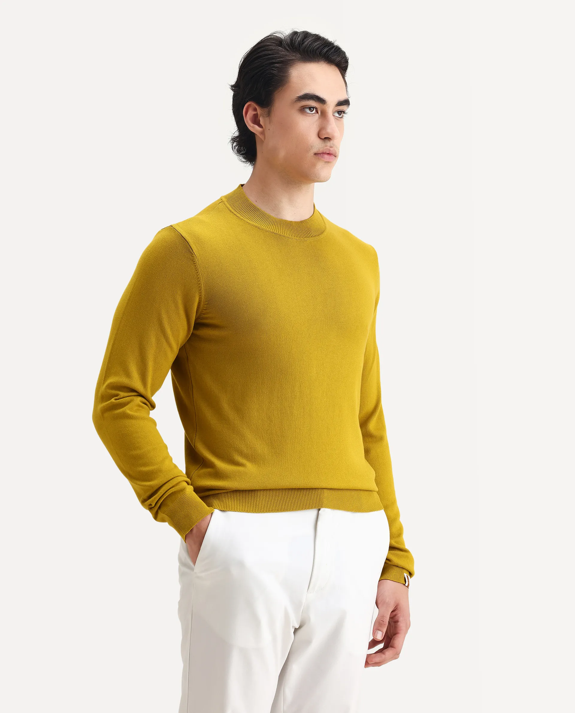 Rare Rabbit Men's Alfo 1 Mustard Viscose Plain Slim Fit Full Sleeve High Neck Sweater - Image 6