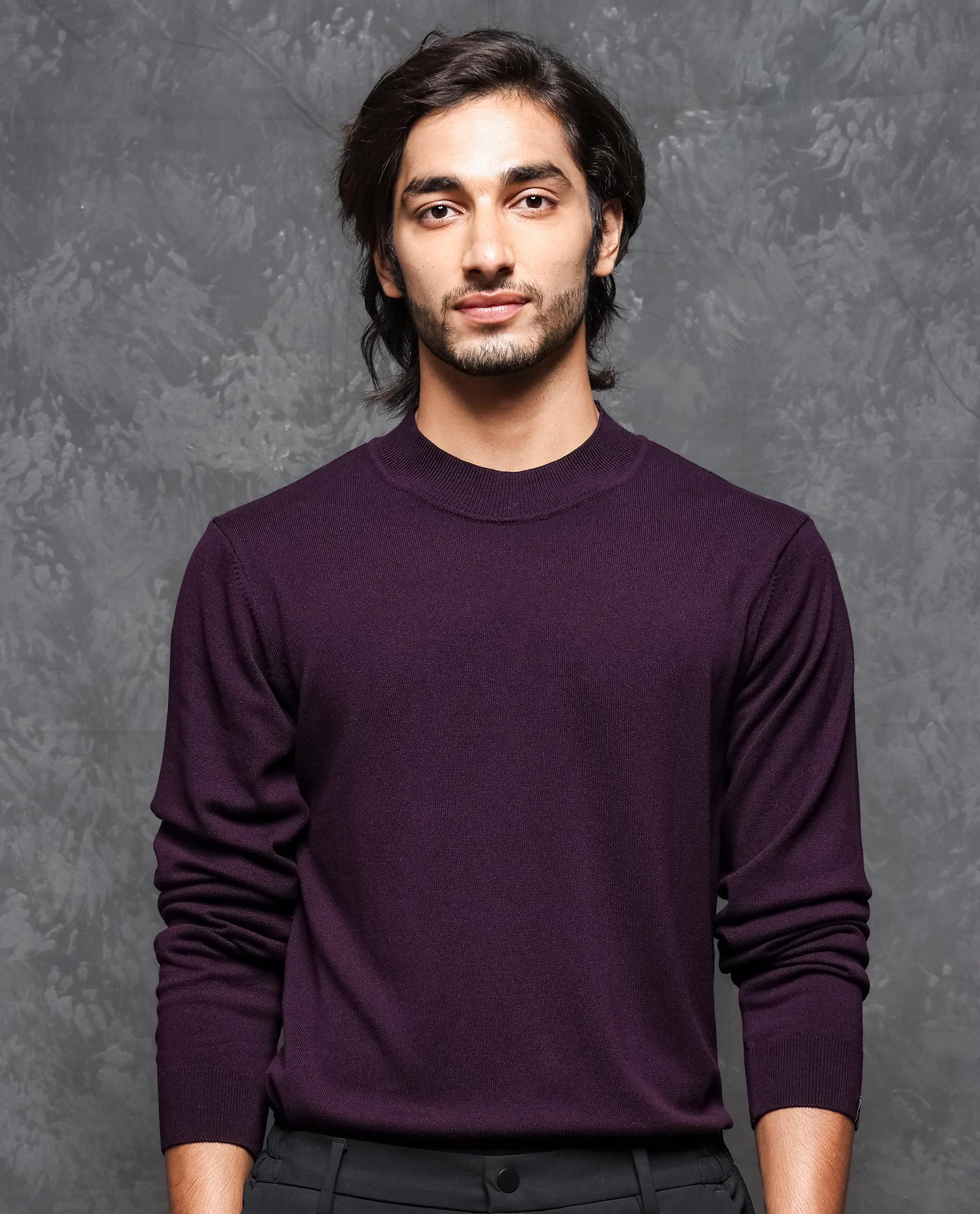 Rare Rabbit Men's Alfo 1 Purple Viscose Plain Slim Fit Full Sleeve High Neck Sweater
