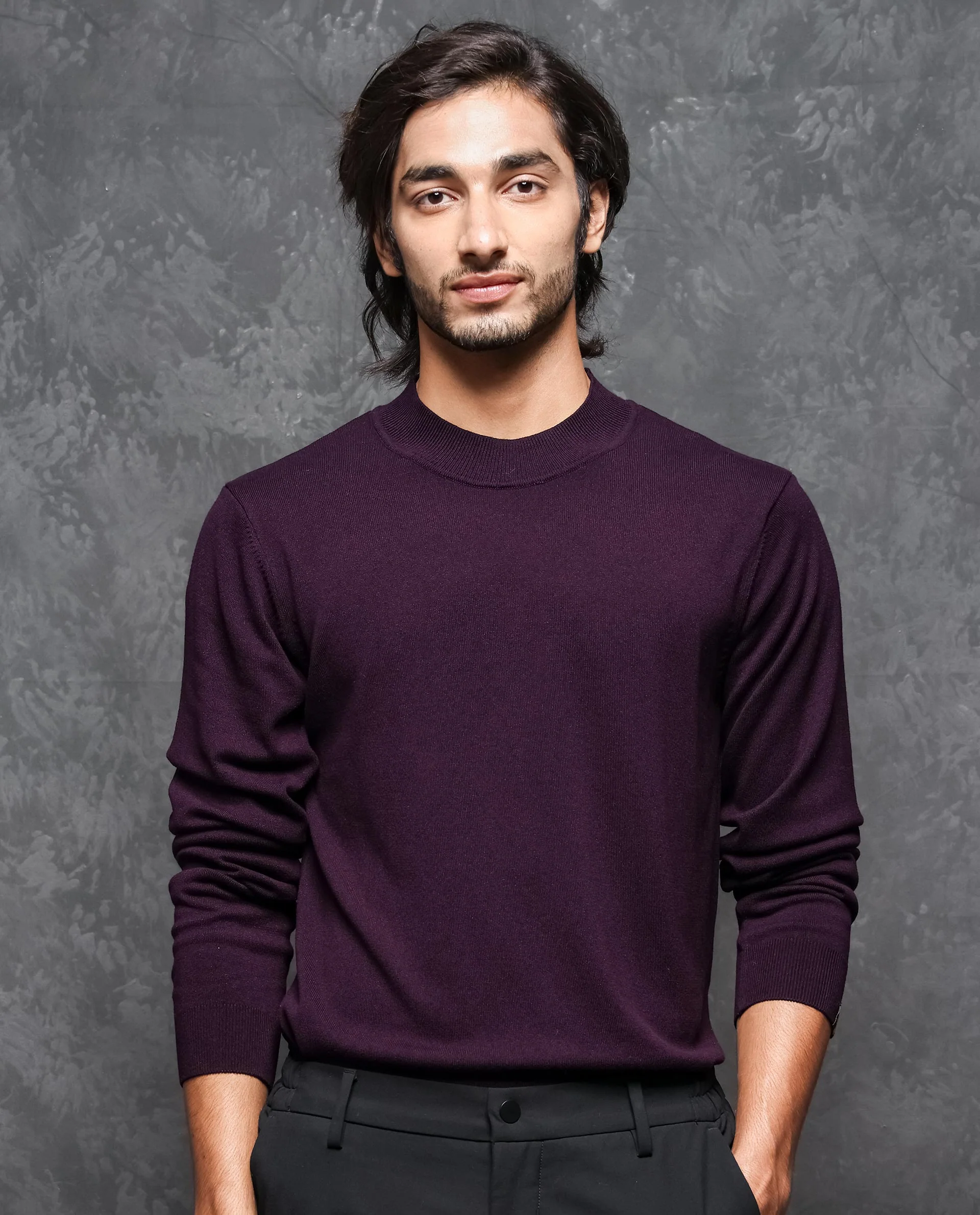 Rare Rabbit Men's Alfo 1 Purple Viscose Plain Slim Fit Full Sleeve High Neck Sweater - Image 11
