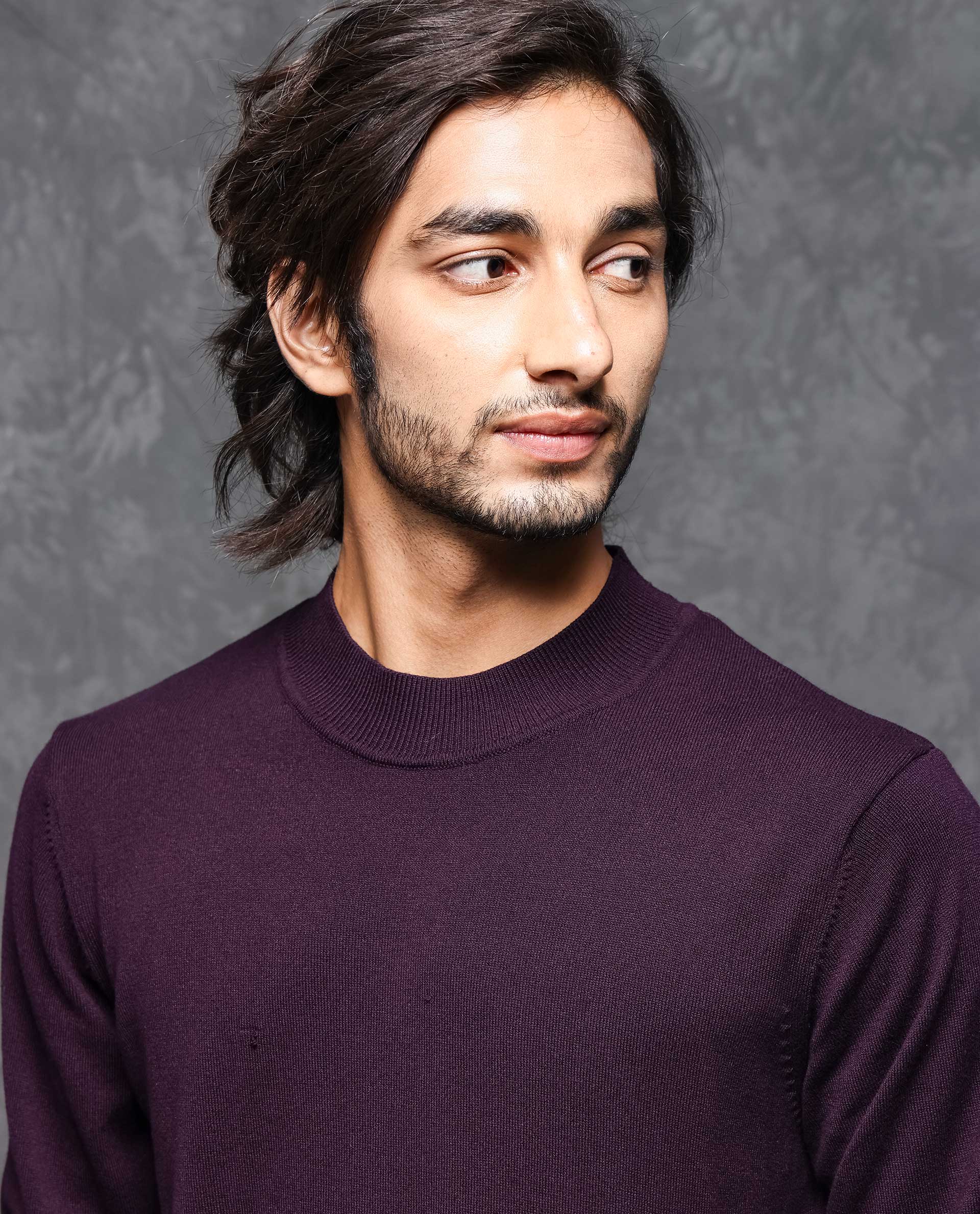 Rare Rabbit Men's Alfo 1 Purple Viscose Plain Slim Fit Full Sleeve High Neck Sweater - Image 4