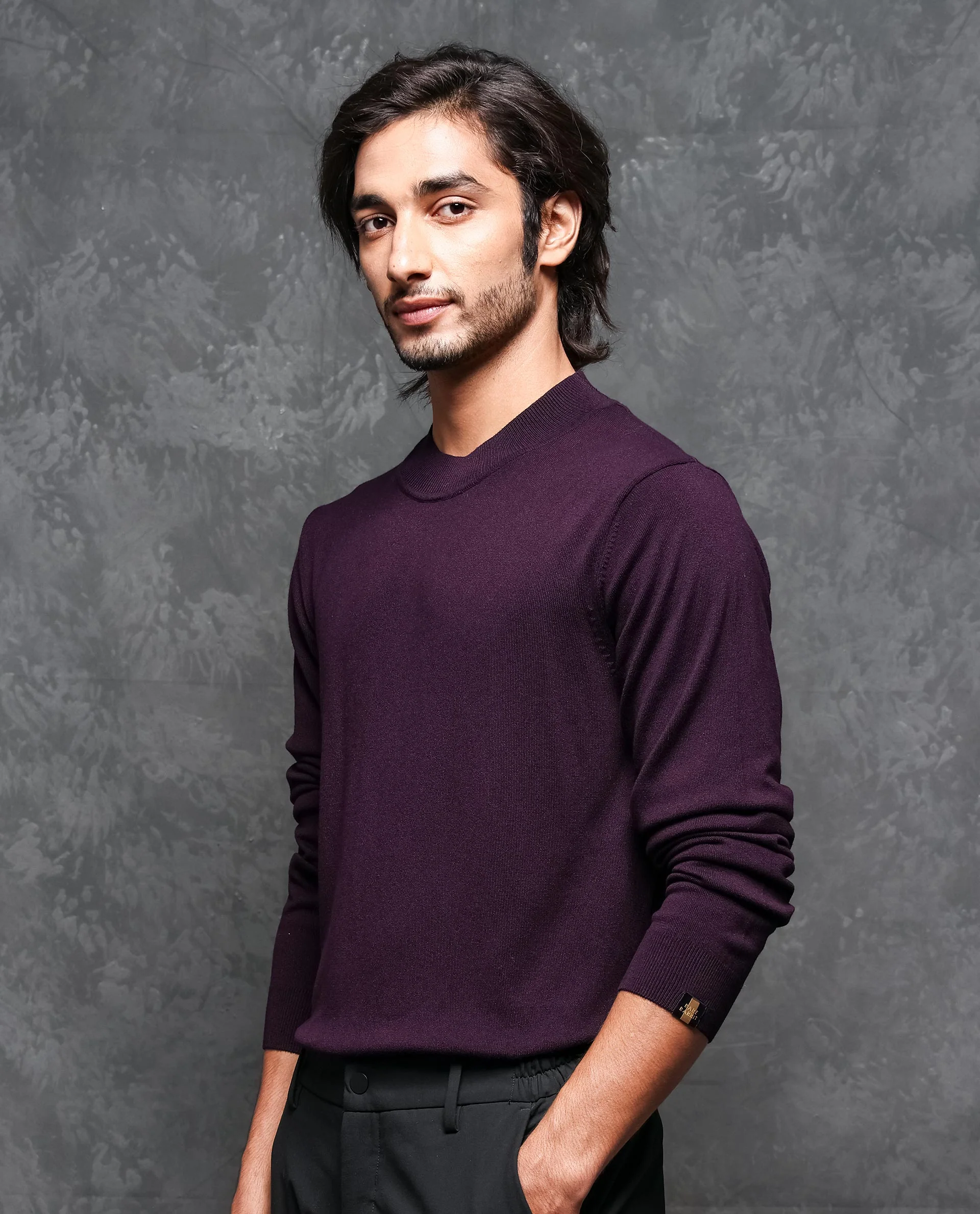 Rare Rabbit Men's Alfo 1 Purple Viscose Plain Slim Fit Full Sleeve High Neck Sweater - Image 8