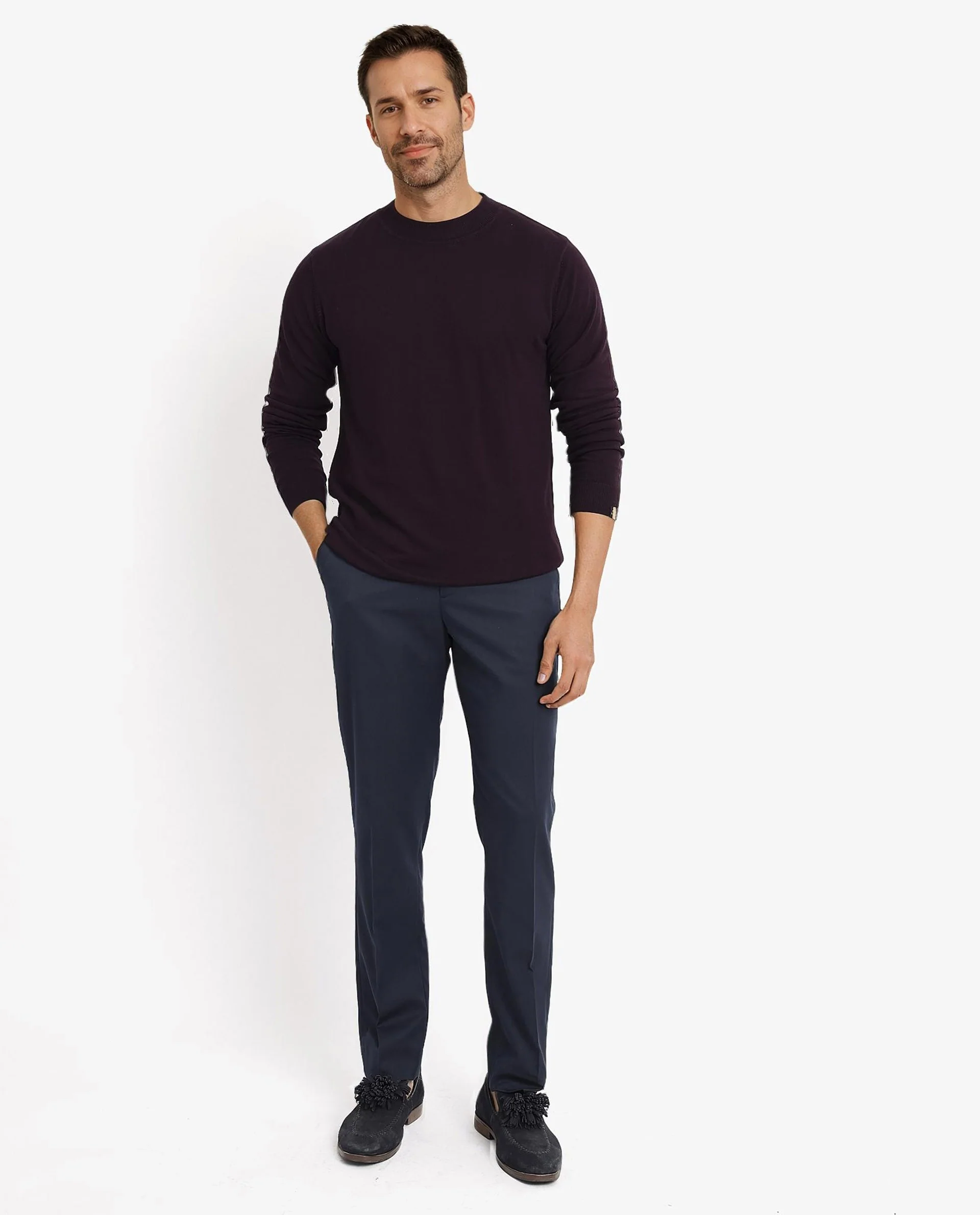 Rare Rabbit Men's Alfot Dark Purple Viscose Plain Regular Fit Full Sleeve High Neck Sweater - Image 2