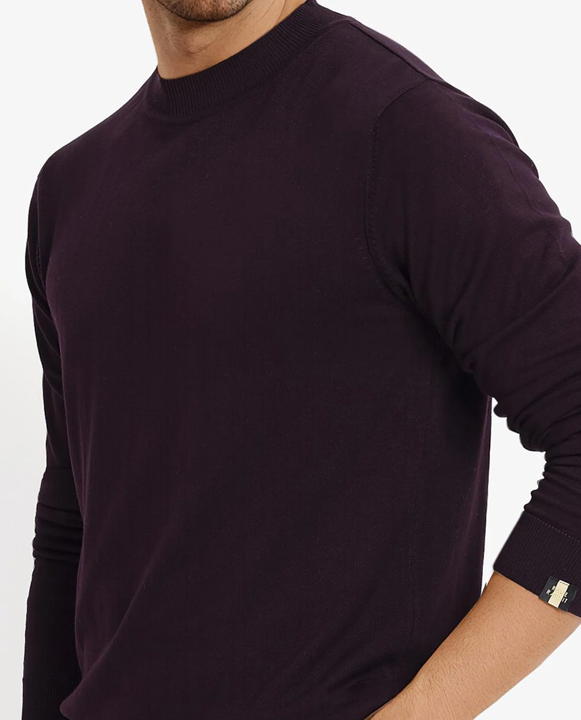 Rare Rabbit Men's Alfot Dark Purple Viscose Plain Regular Fit Full Sleeve High Neck Sweater - Image 3