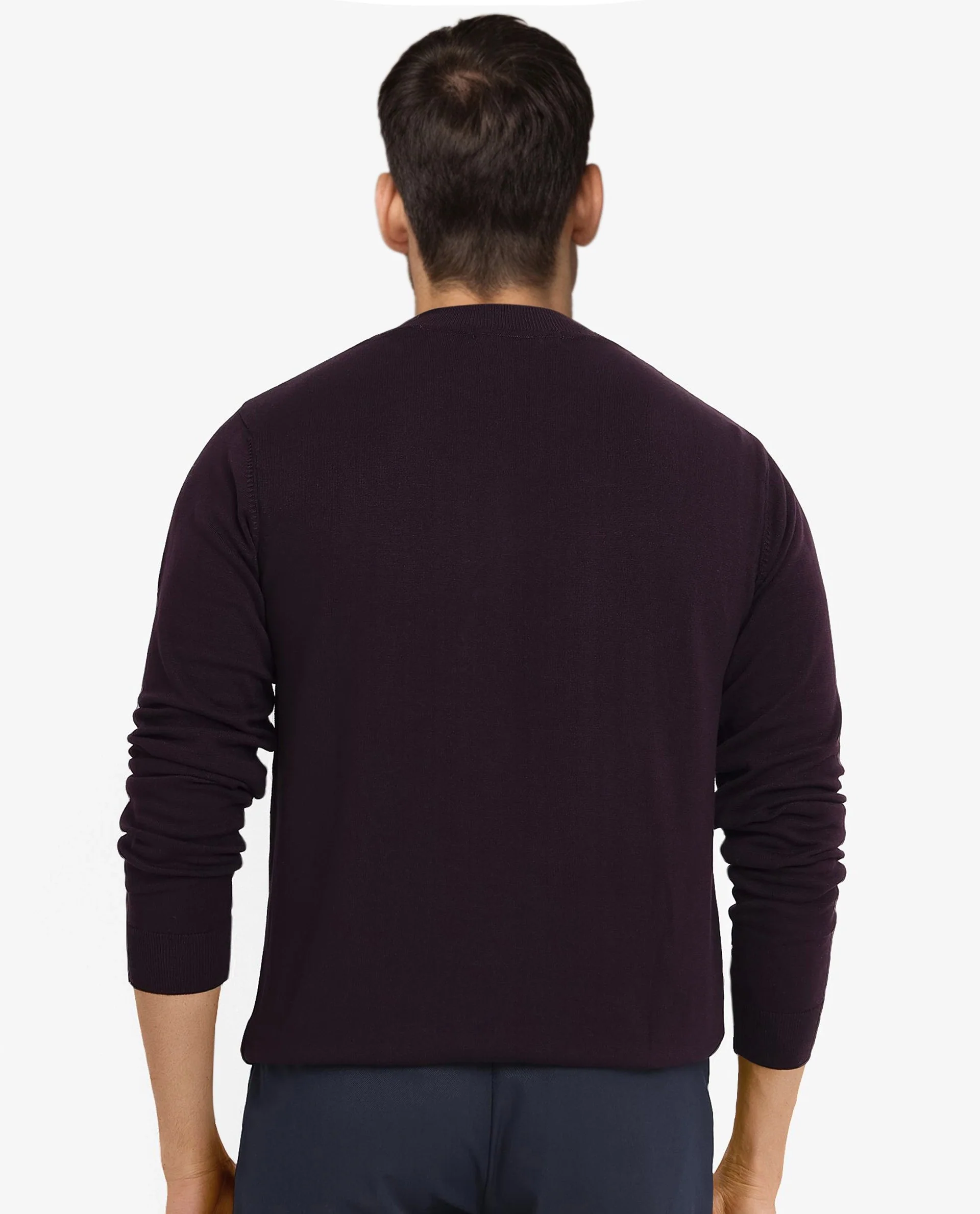Rare Rabbit Men's Alfot Dark Purple Viscose Plain Regular Fit Full Sleeve High Neck Sweater - Image 4