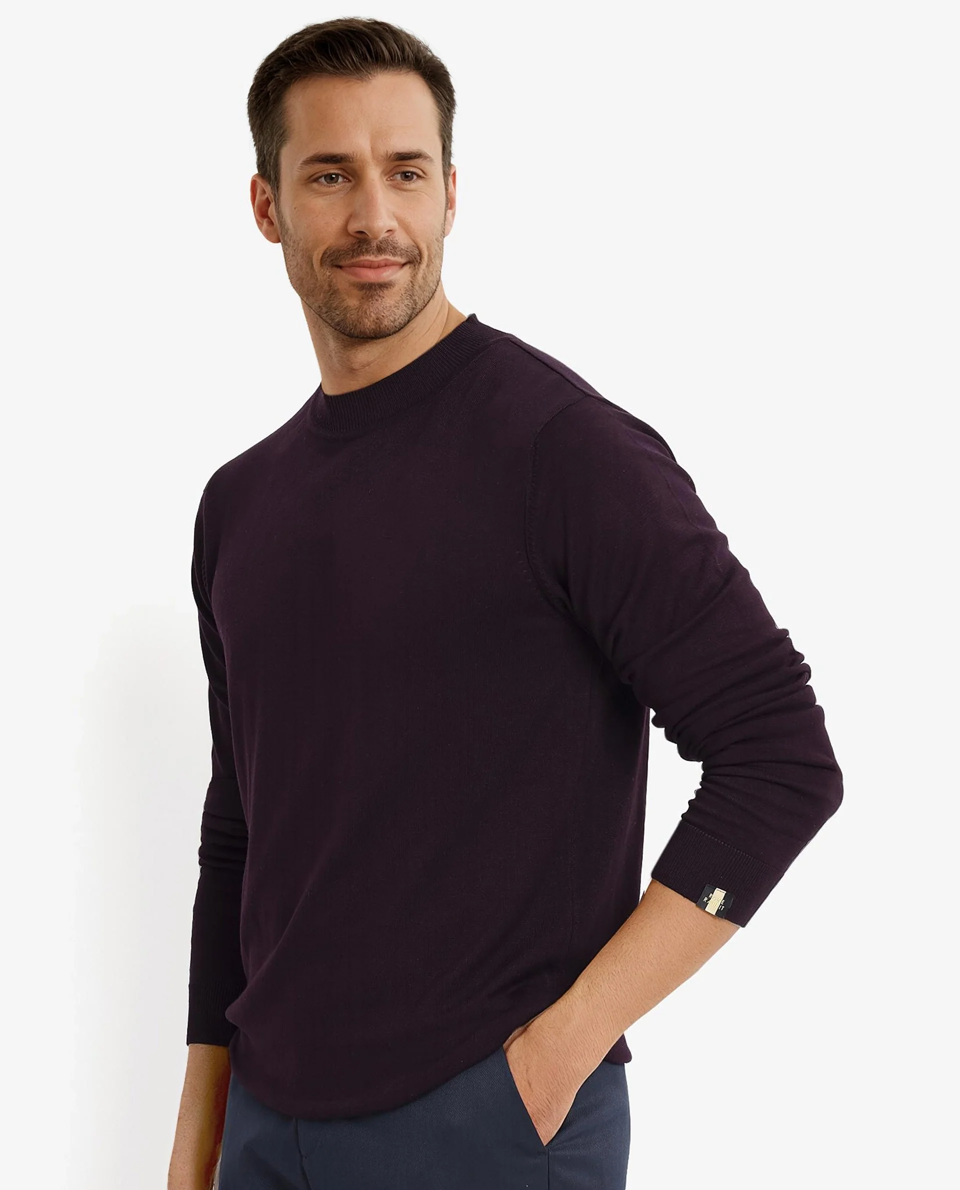 Rare Rabbit Men's Alfot Dark Purple Viscose Plain Regular Fit Full Sleeve High Neck Sweater - Image 5