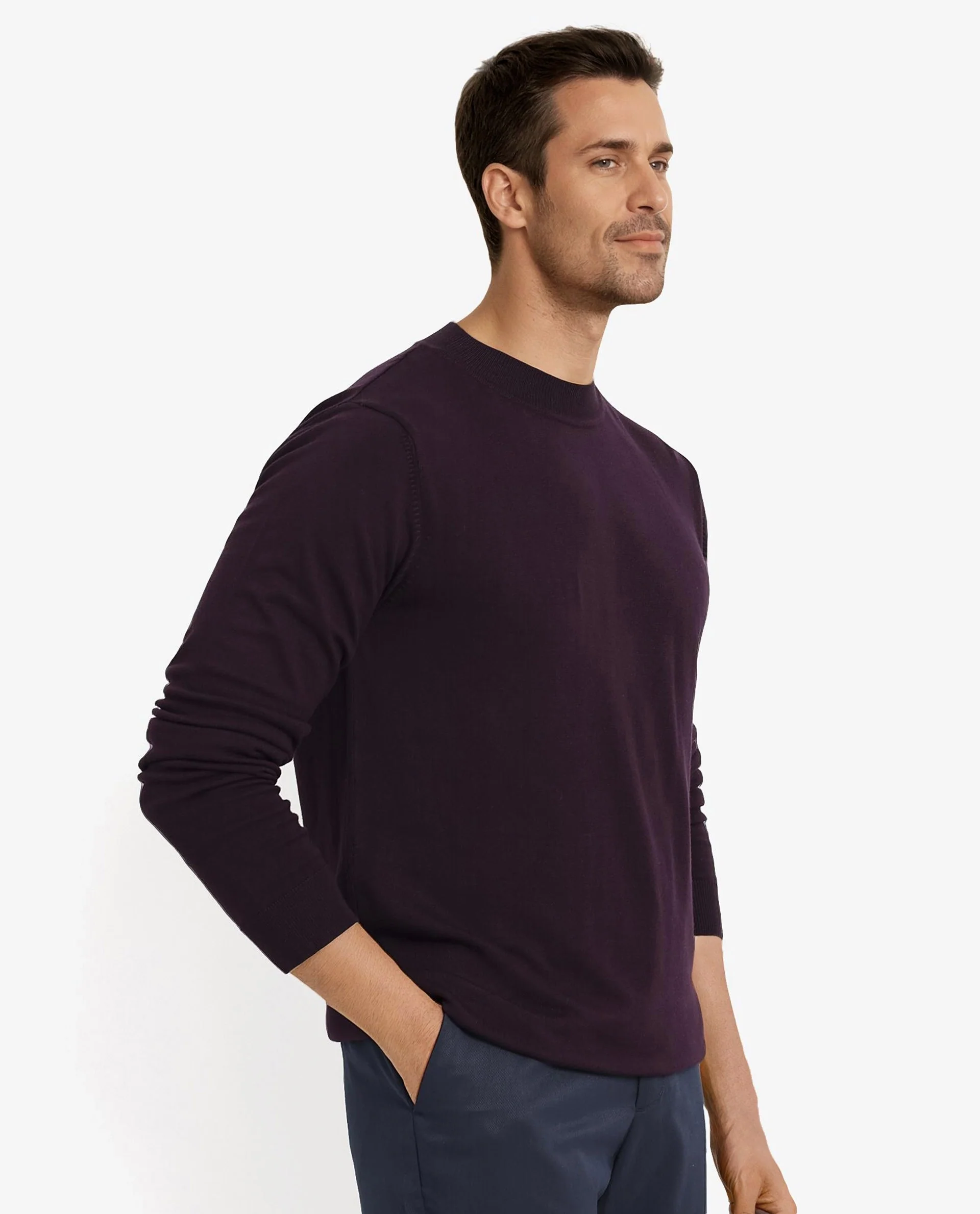 Rare Rabbit Men's Alfot Dark Purple Viscose Plain Regular Fit Full Sleeve High Neck Sweater - Image 6