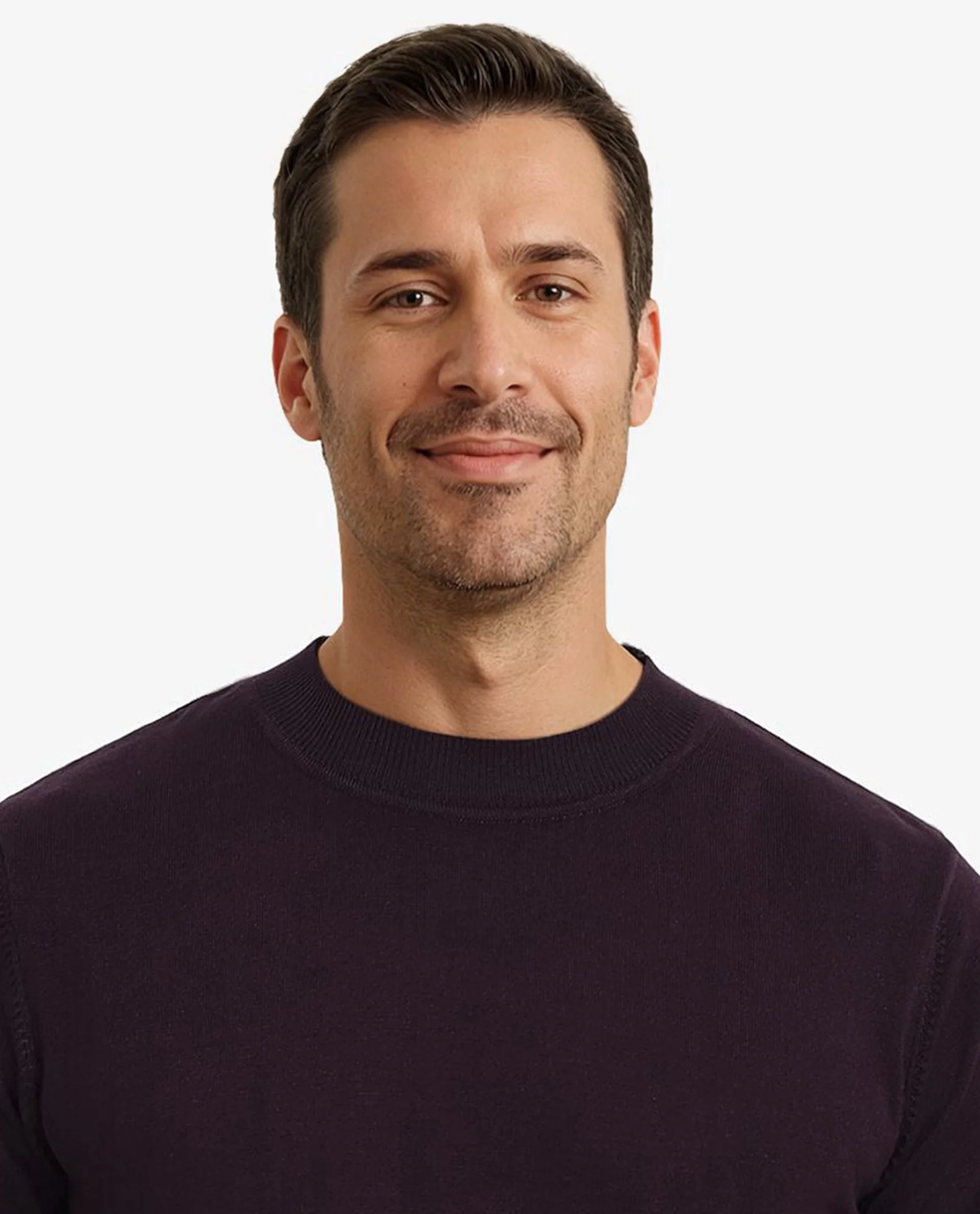 Rare Rabbit Men's Alfot Dark Purple Viscose Plain Regular Fit Full Sleeve High Neck Sweater - Image 7