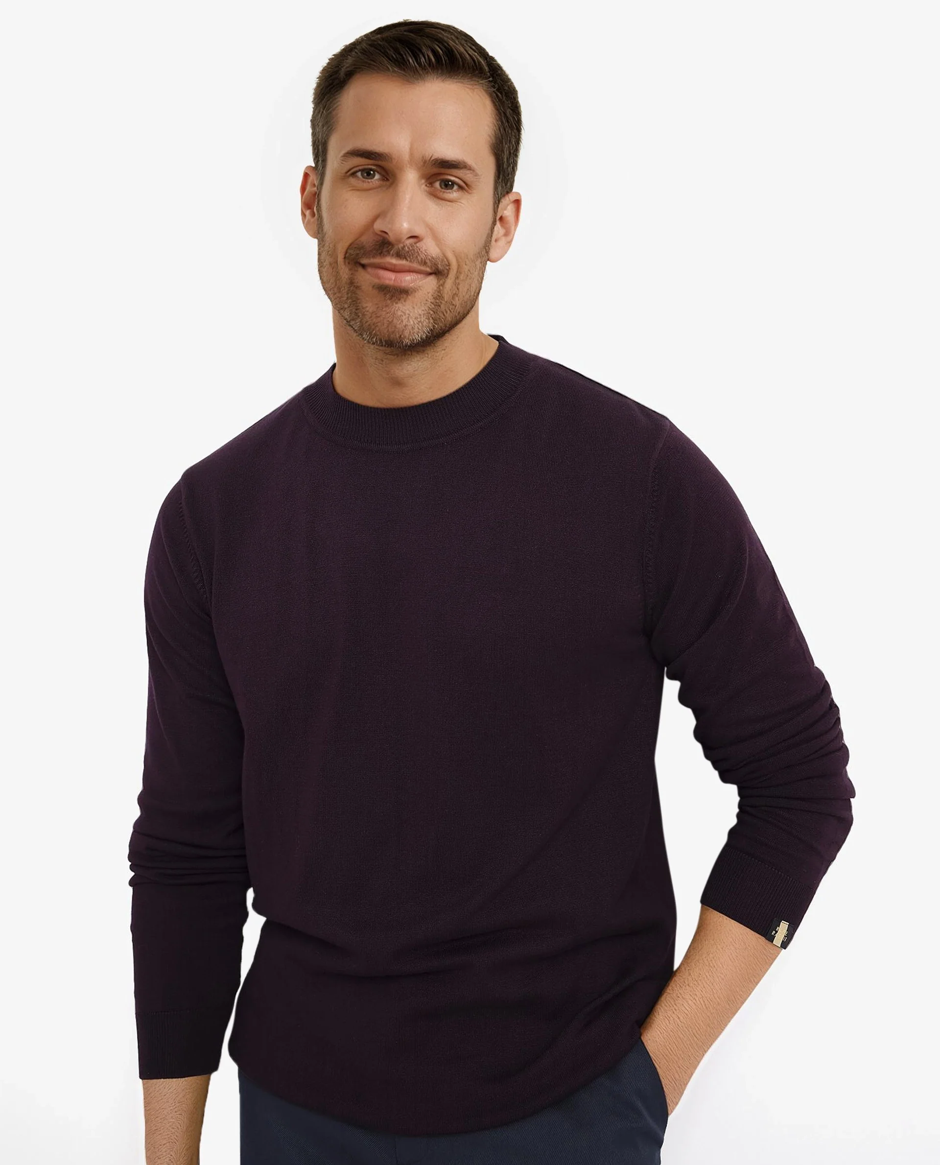 Rare Rabbit Men's Alfot Dark Purple Viscose Plain Regular Fit Full Sleeve High Neck Sweater - Image 8