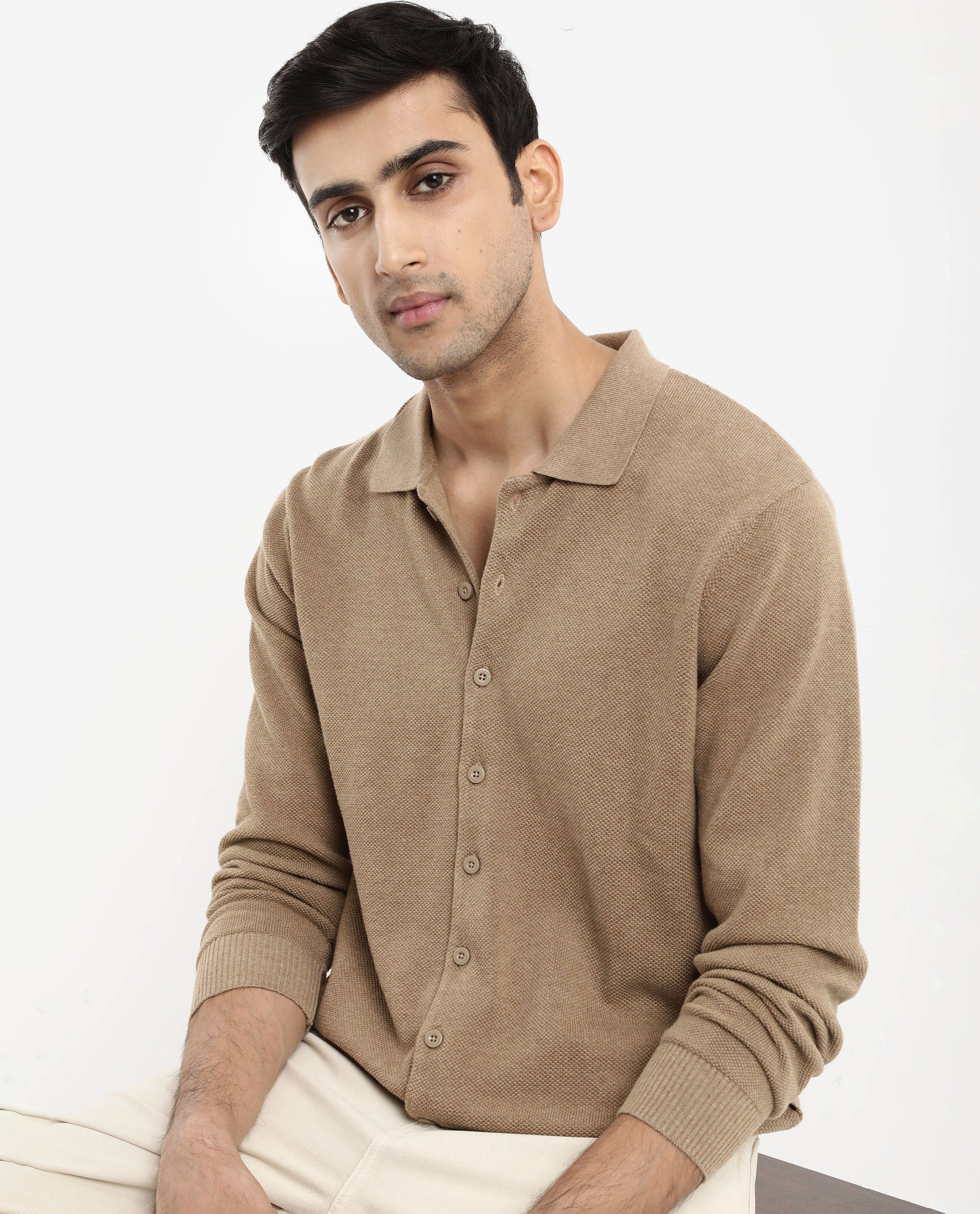 Rare Rabbit Men's Alias-N Beige Cotton Plain Regular Fit Full Sleeve Collared Shirt