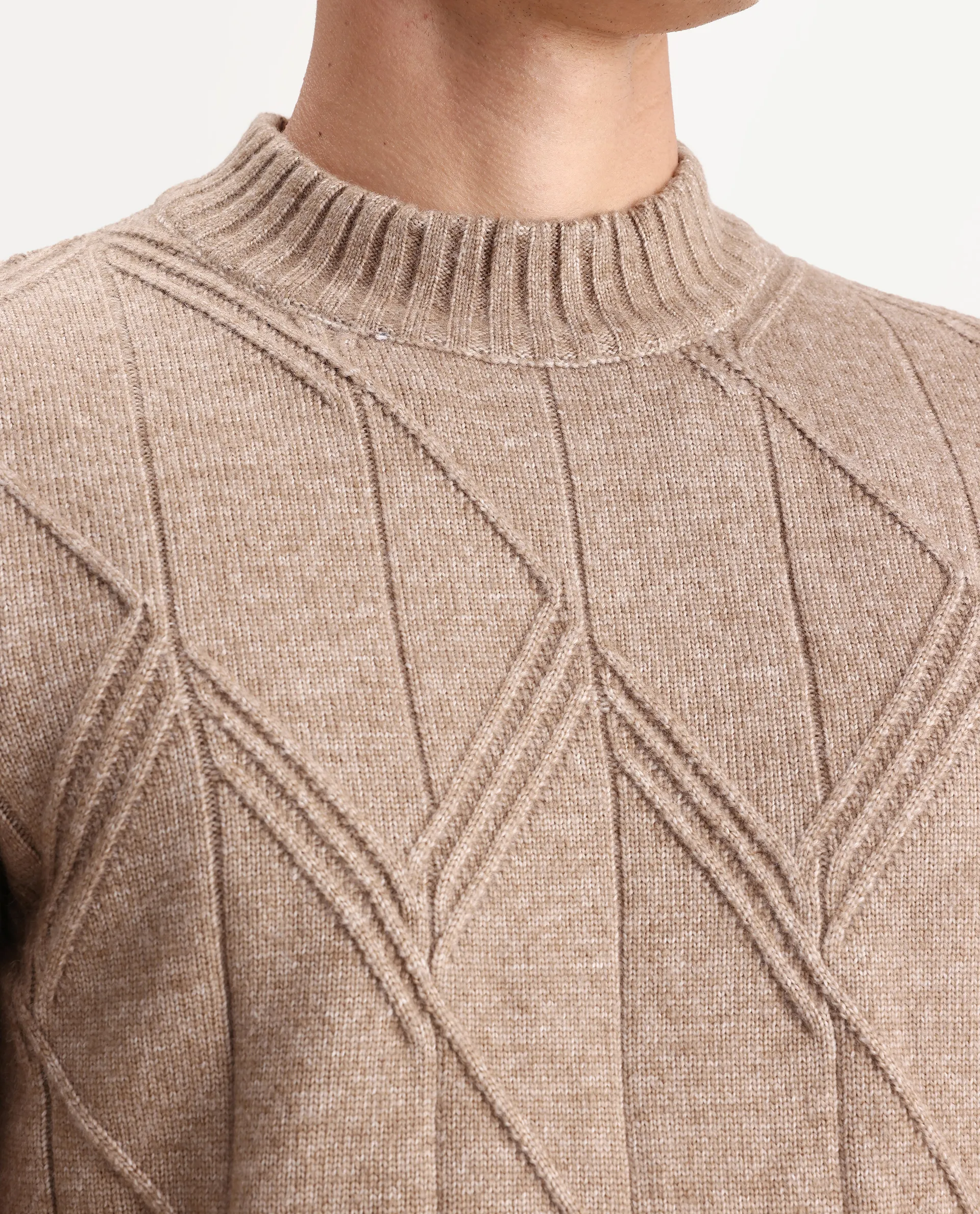 Rare Rabbit Men's Alli Dark Beige Polyester Plain Regular Fit Full Sleeve High Neck Sweater - Image 3