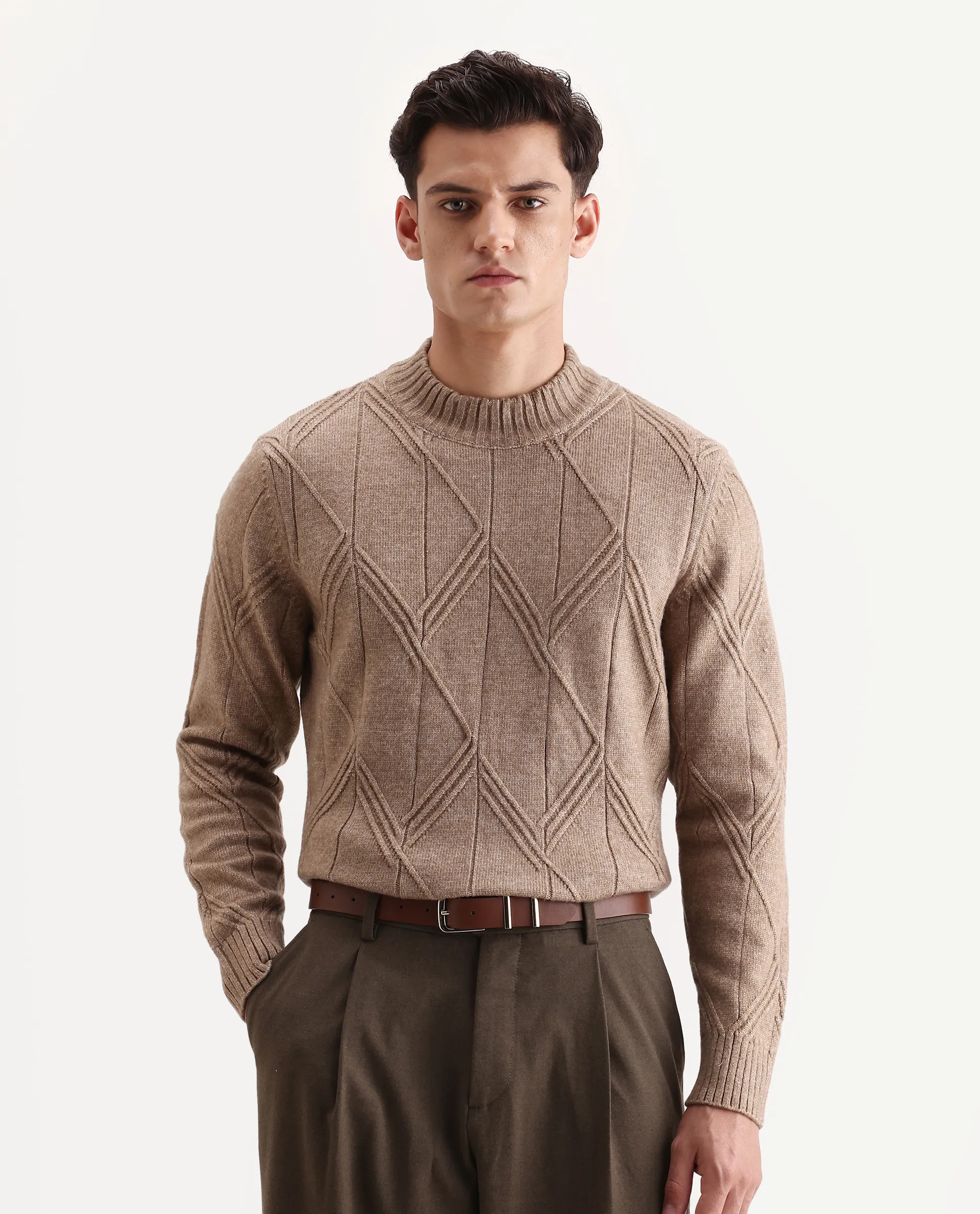 Rare Rabbit Men's Alli Dark Beige Polyester Plain Regular Fit Full Sleeve High Neck Sweater - Image 4