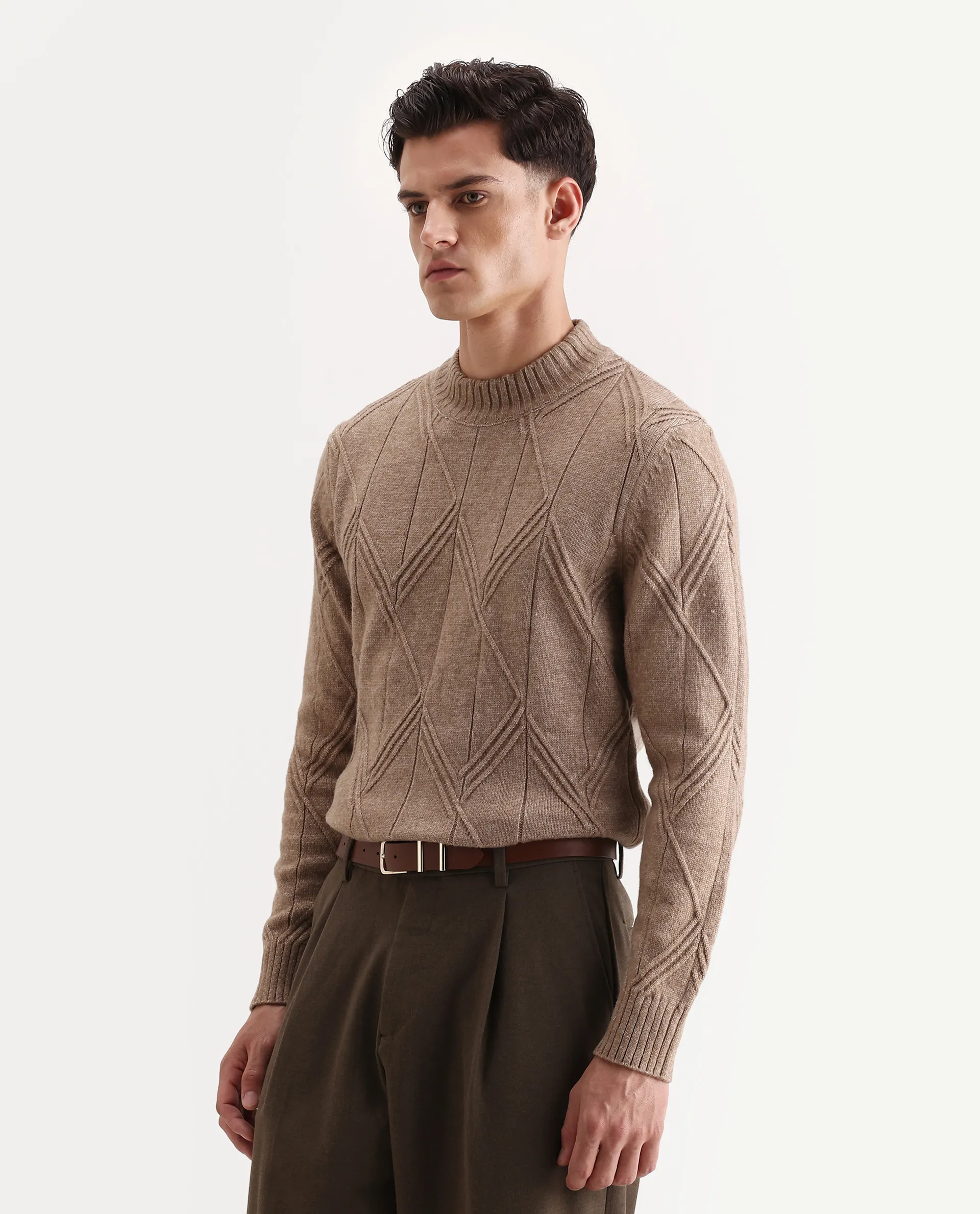 Rare Rabbit Men's Alli Dark Beige Polyester Plain Regular Fit Full Sleeve High Neck Sweater - Image 5