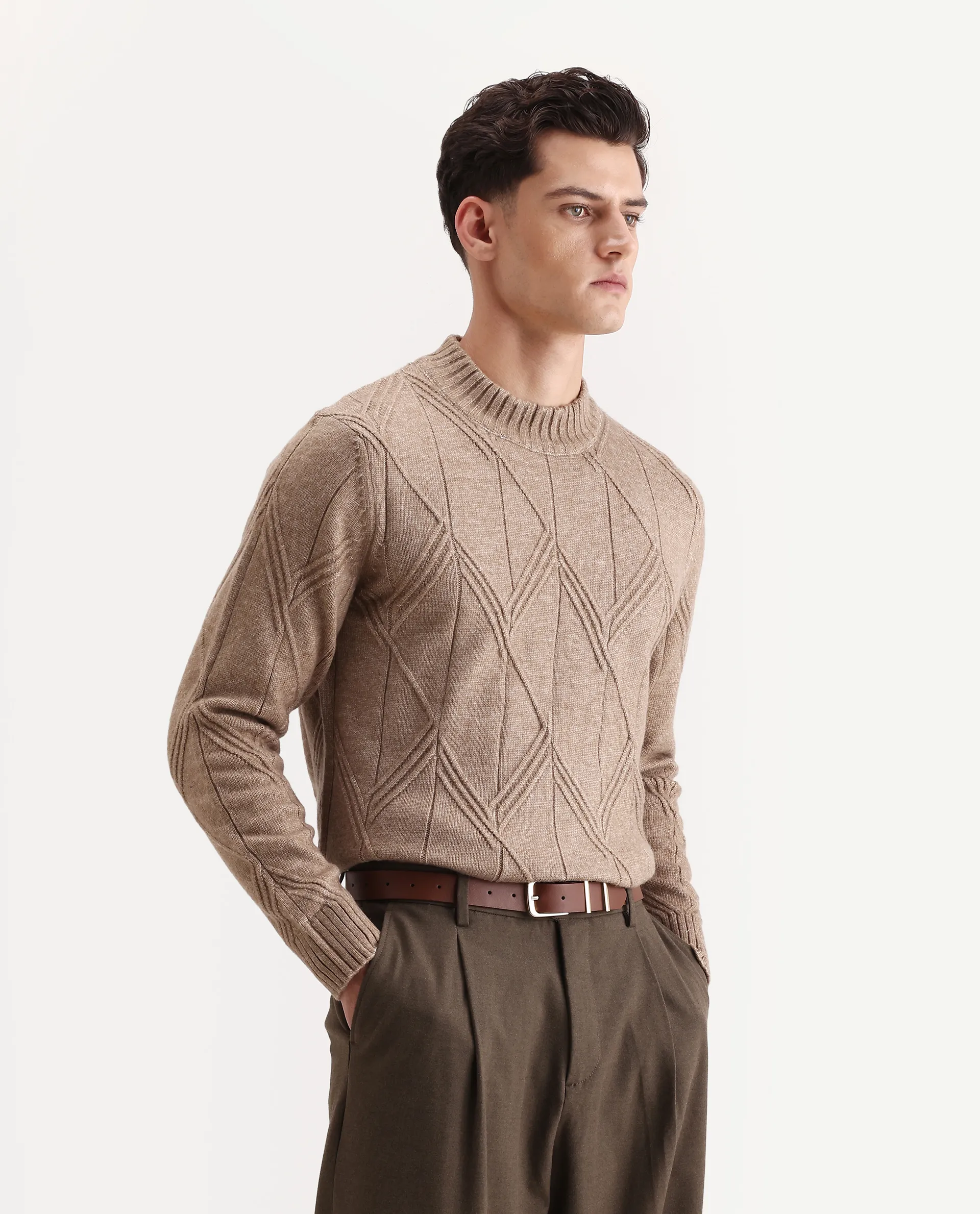 Rare Rabbit Men's Alli Dark Beige Polyester Plain Regular Fit Full Sleeve High Neck Sweater - Image 6
