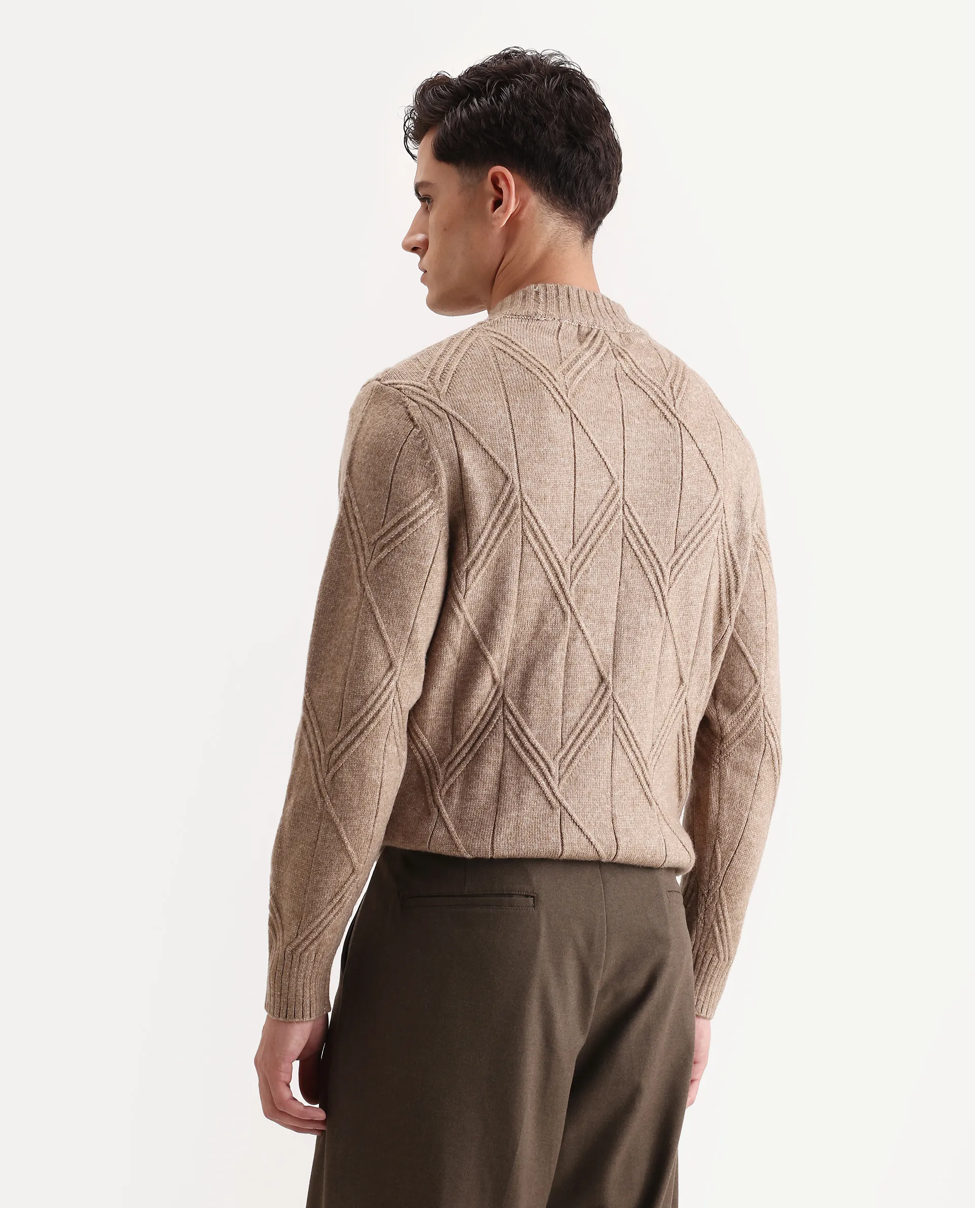 Rare Rabbit Men's Alli Dark Beige Polyester Plain Regular Fit Full Sleeve High Neck Sweater - Image 7