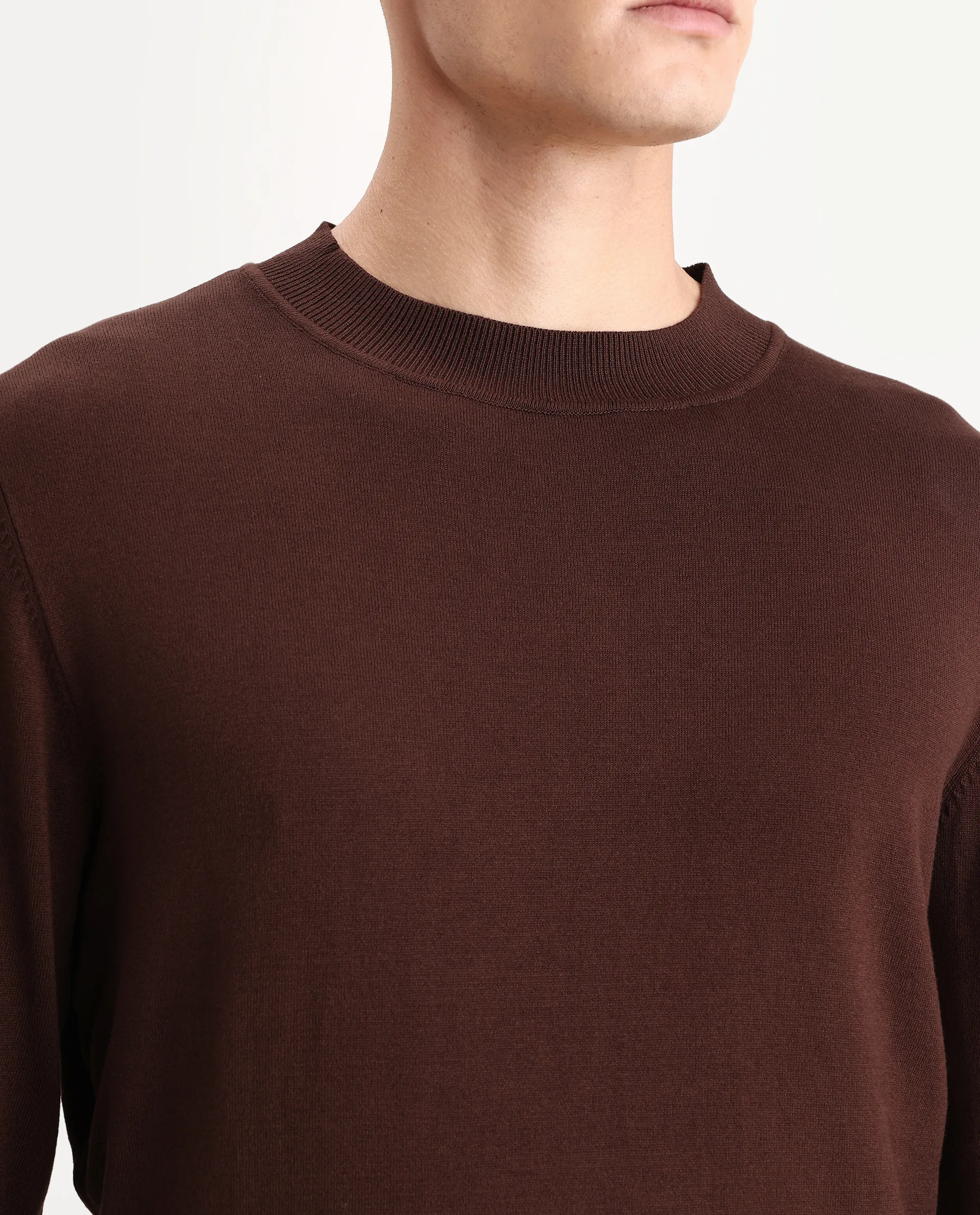 Rare Rabbit Men's Alva Dark Brown Viscose Plain Regular Fit Full Sleeve High Neck Sweater - Image 3