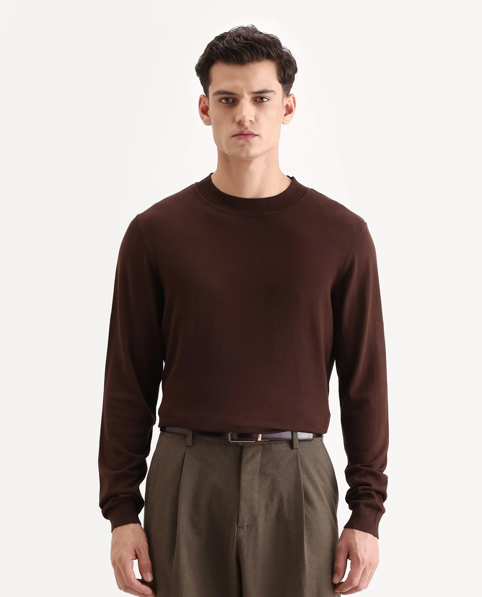 Rare Rabbit Men's Alva Dark Brown Viscose Plain Regular Fit Full Sleeve High Neck Sweater - Image 4