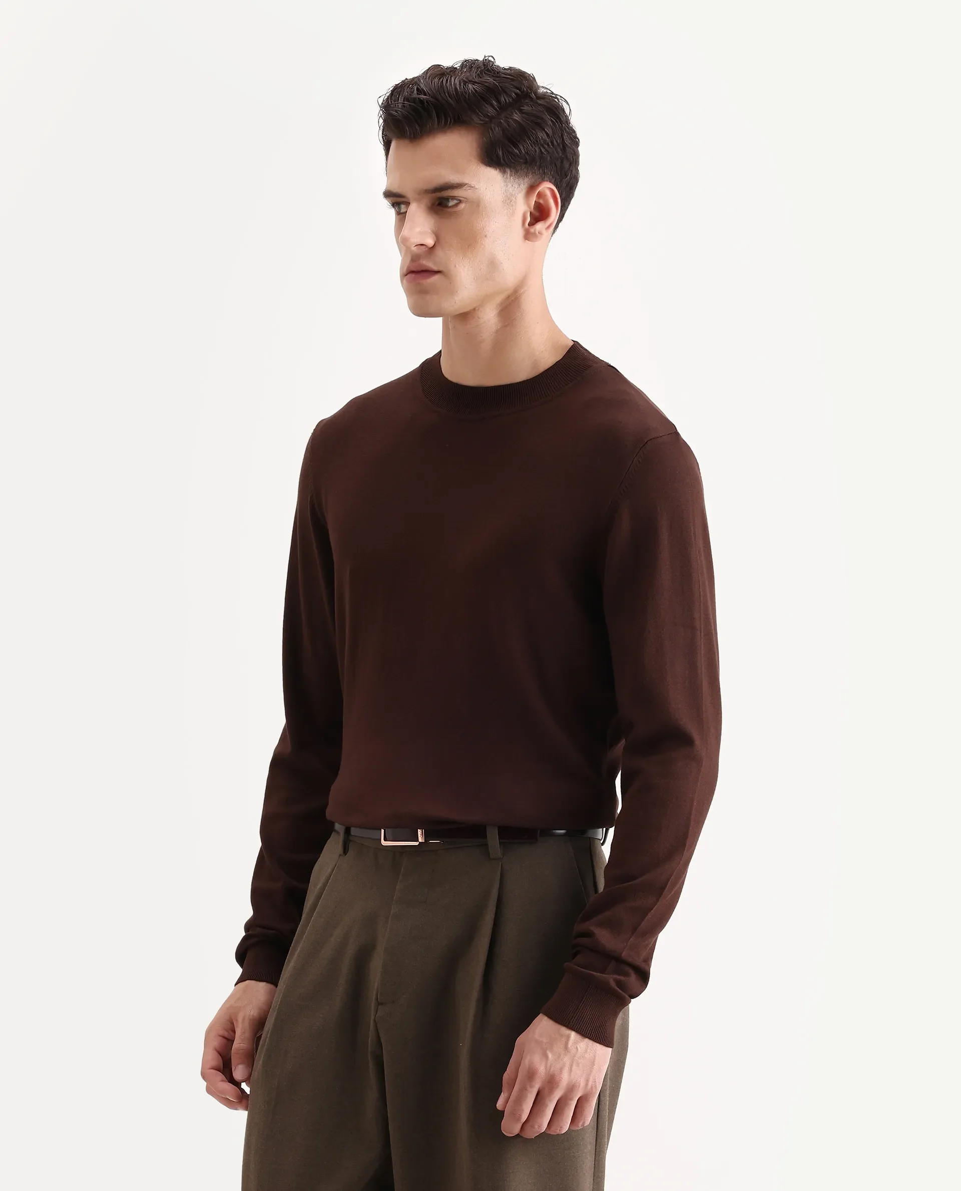 Rare Rabbit Men's Alva Dark Brown Viscose Plain Regular Fit Full Sleeve High Neck Sweater - Image 5