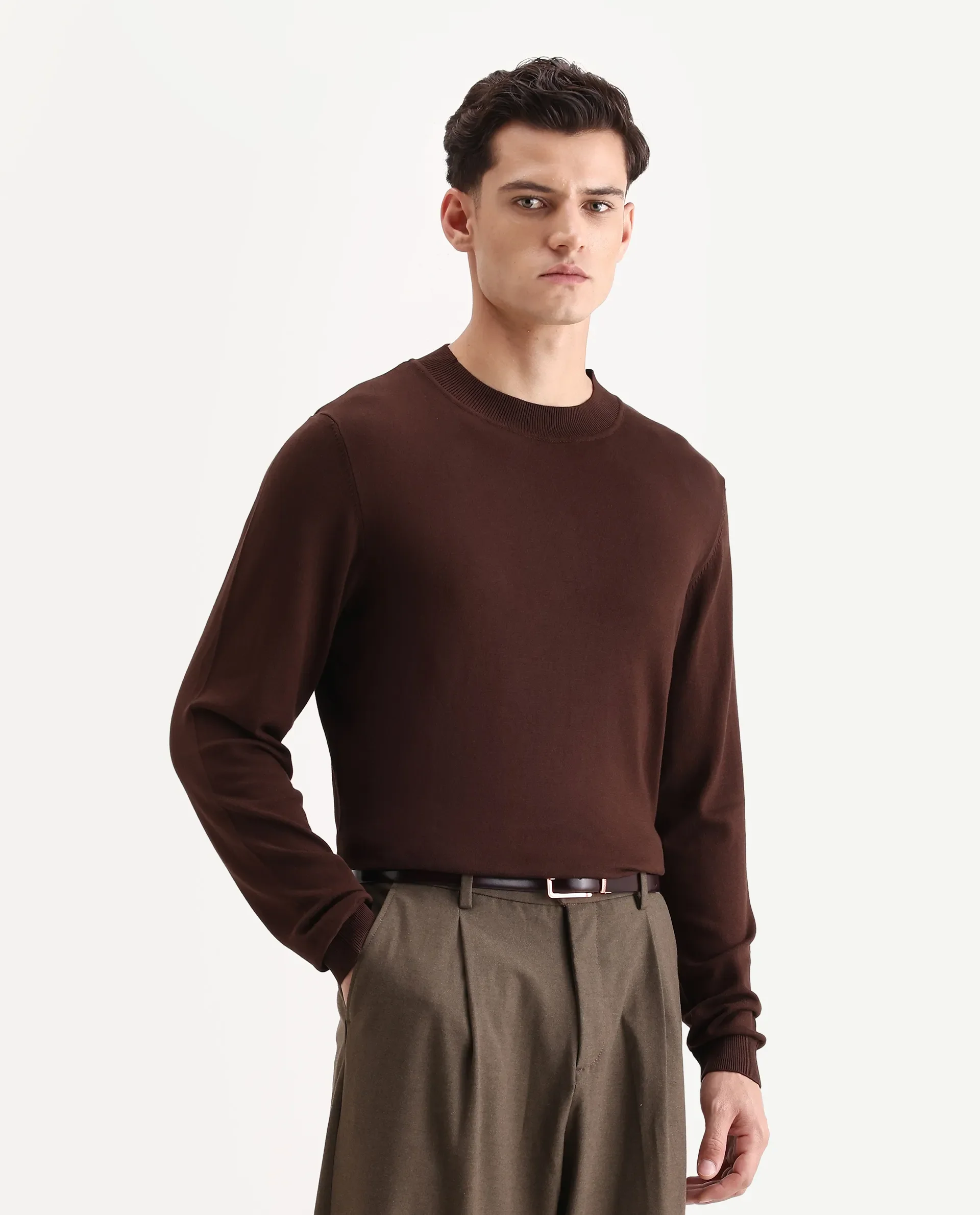 Rare Rabbit Men's Alva Dark Brown Viscose Plain Regular Fit Full Sleeve High Neck Sweater - Image 6