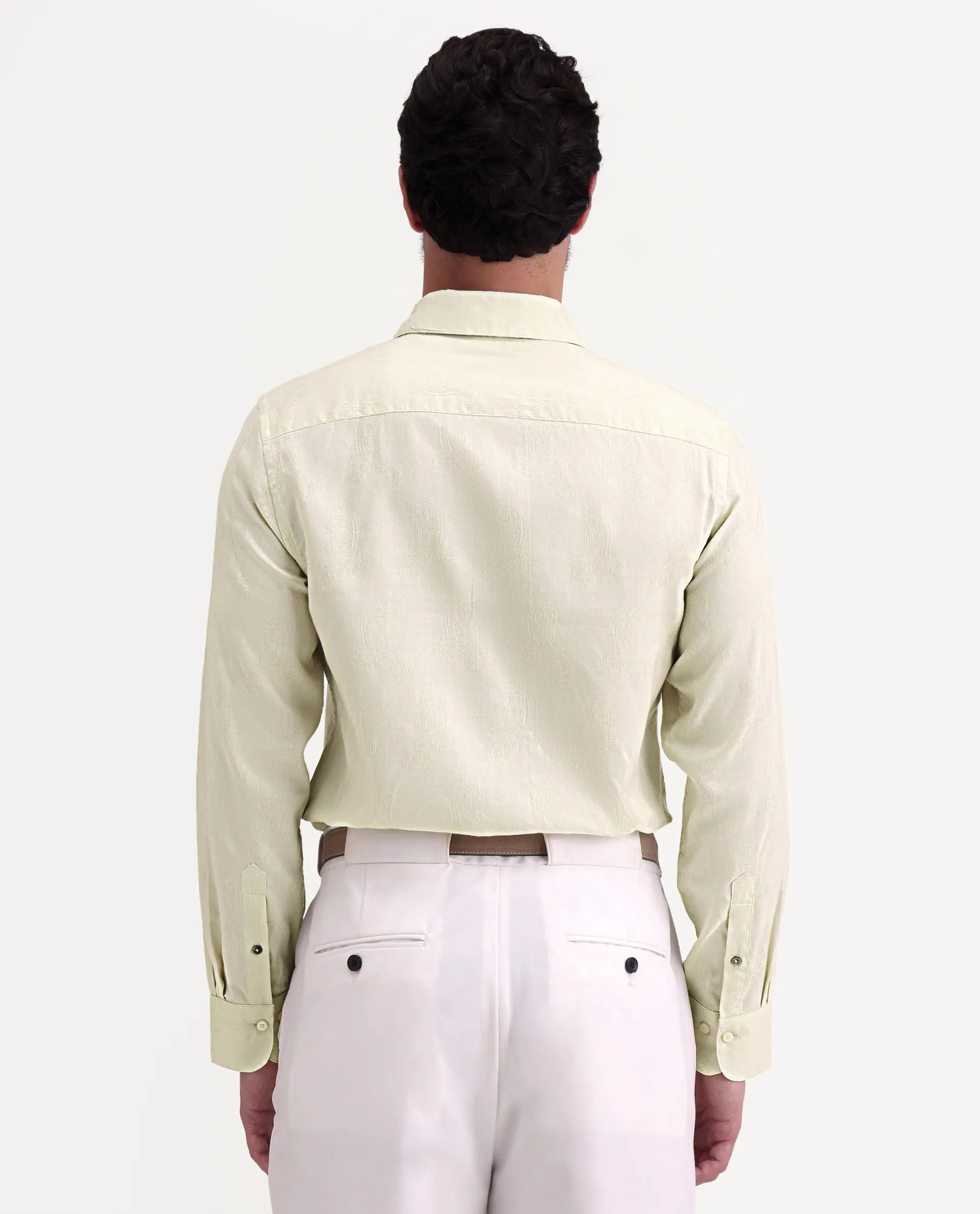 Rare Rabbit Men's Alvo Pastel Green Viscose Blend Fabric Full Sleeve Spread Collar Regular Fit Jacquard Shirt - Image 8