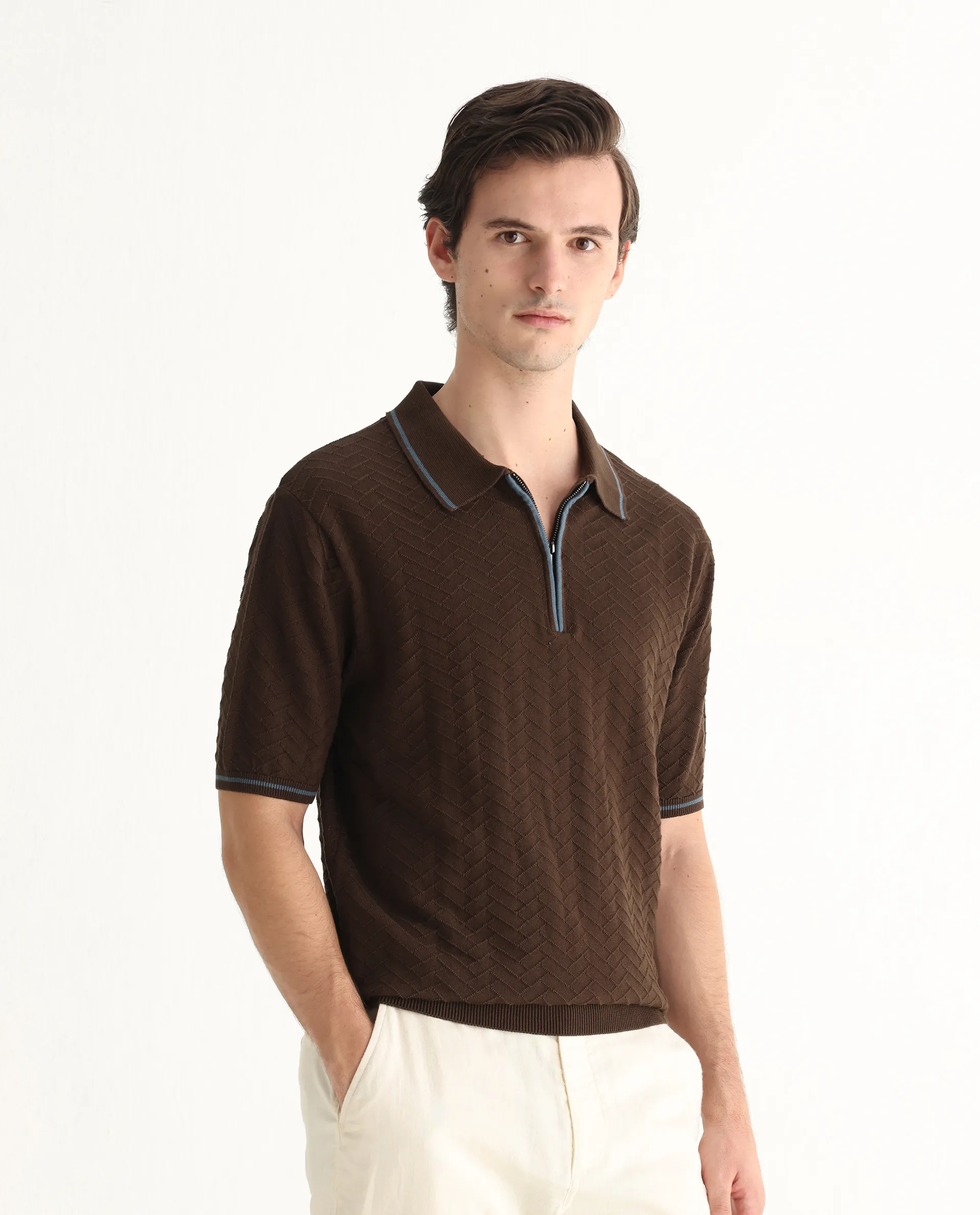 Rare Rabbit Men's Amet Dark Brown Cotton Blend Textured Regular Fit Half Sleeve Polo - Image 6