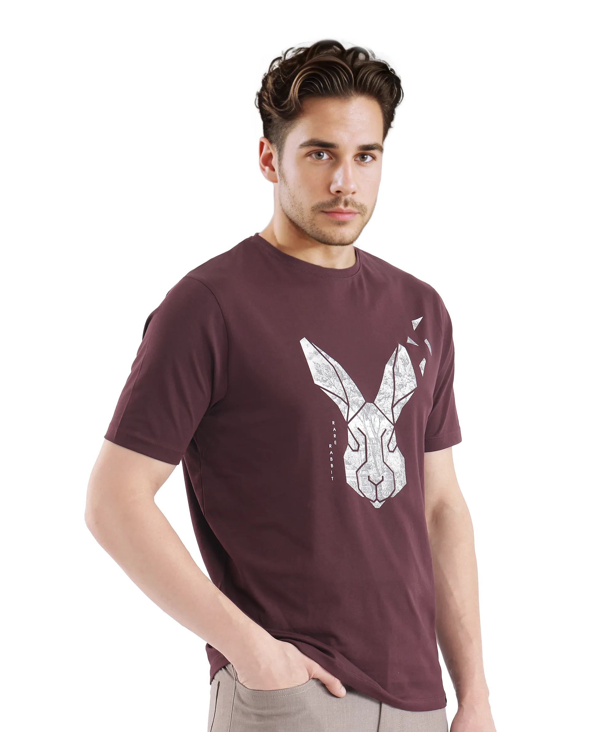 Rare Rabbit Men's Arbor-1 Maroon Cotton Graphic Print Regular Fit Half Sleeve Crew Neck T-Shirt - Image 6