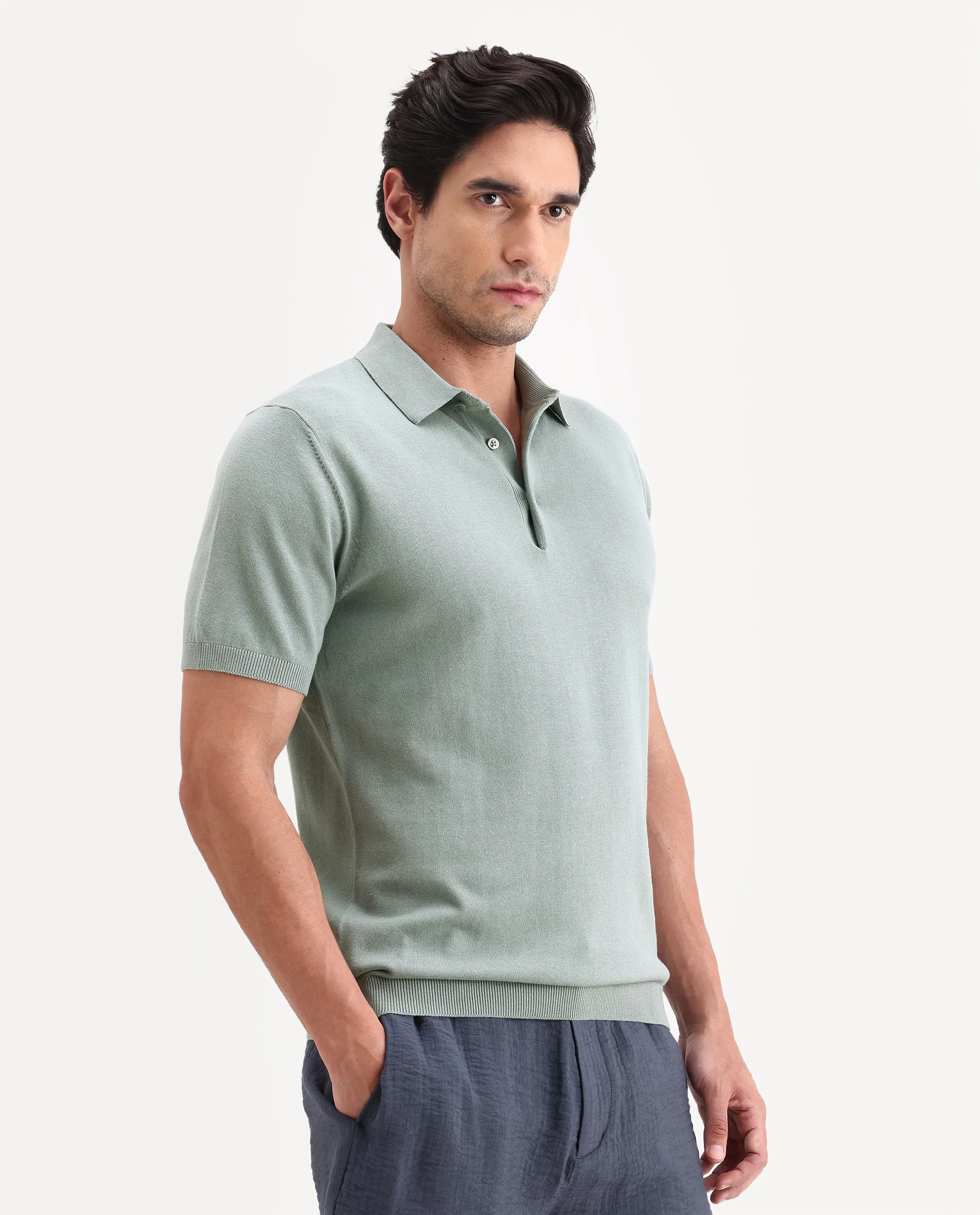 Rare Rabbit Men's Arc Pastel Green Cotton Fabric Half Sleeve Spread Collar Regular Plain Polo - Image 6