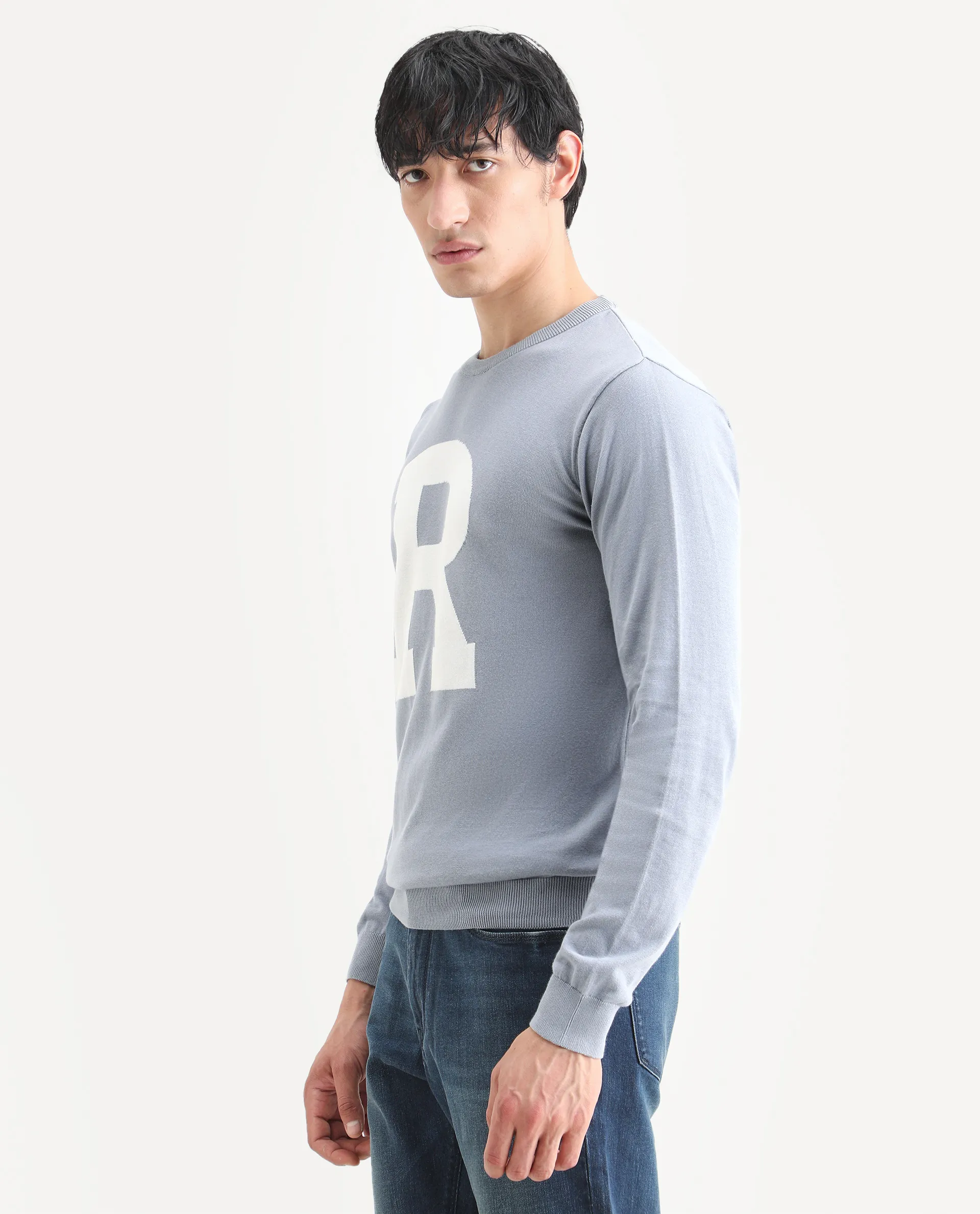 Rare Rabbit Men's Avitt Blue Cotton Jacquard Regular Fit Full Sleeve Crew Neck Sweater - Image 5