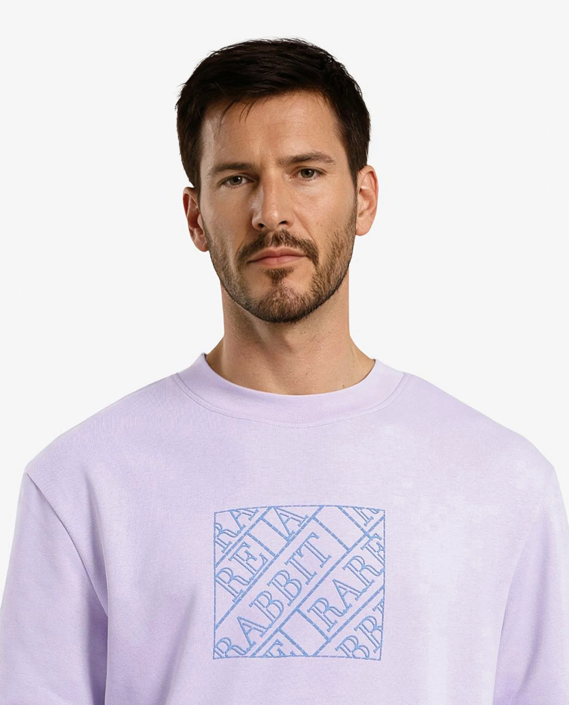 Rare Rabbit Men's Axton Pastel Purple Cotton Graphic Print Regular Fit Full Sleeve Crew Neck Sweatshirt - Image 2