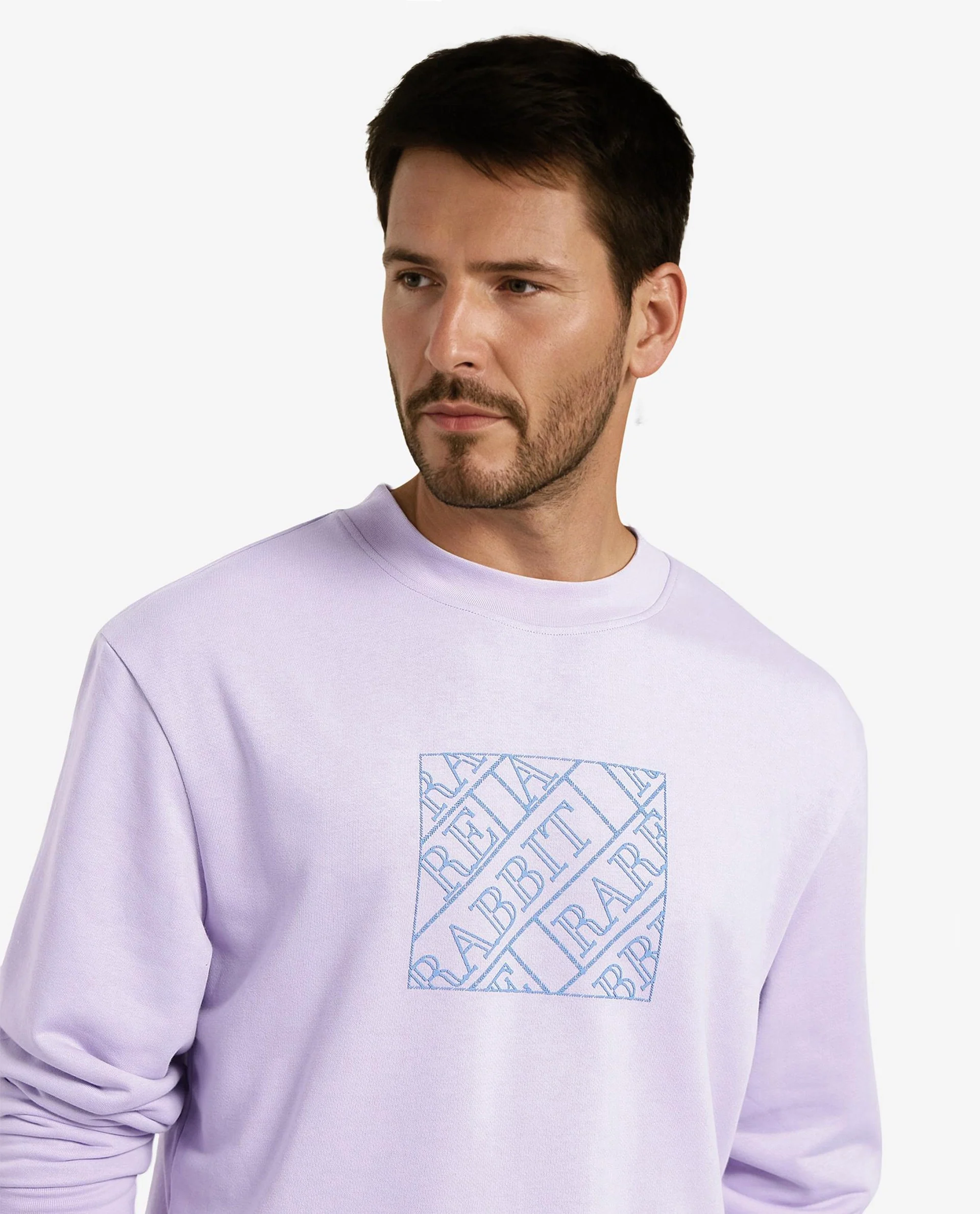 Rare Rabbit Men's Axton Pastel Purple Cotton Graphic Print Regular Fit Full Sleeve Crew Neck Sweatshirt - Image 8