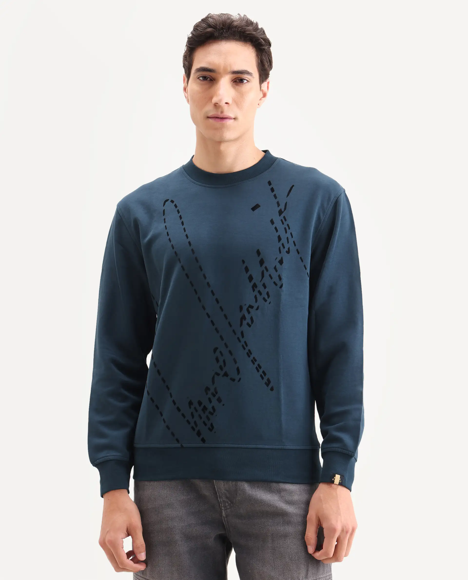 Rare Rabbit Men's Barak Teal Cotton Graphic Print Regular Fit Full Sleeve Crew Neck Sweatshirt - Image 3