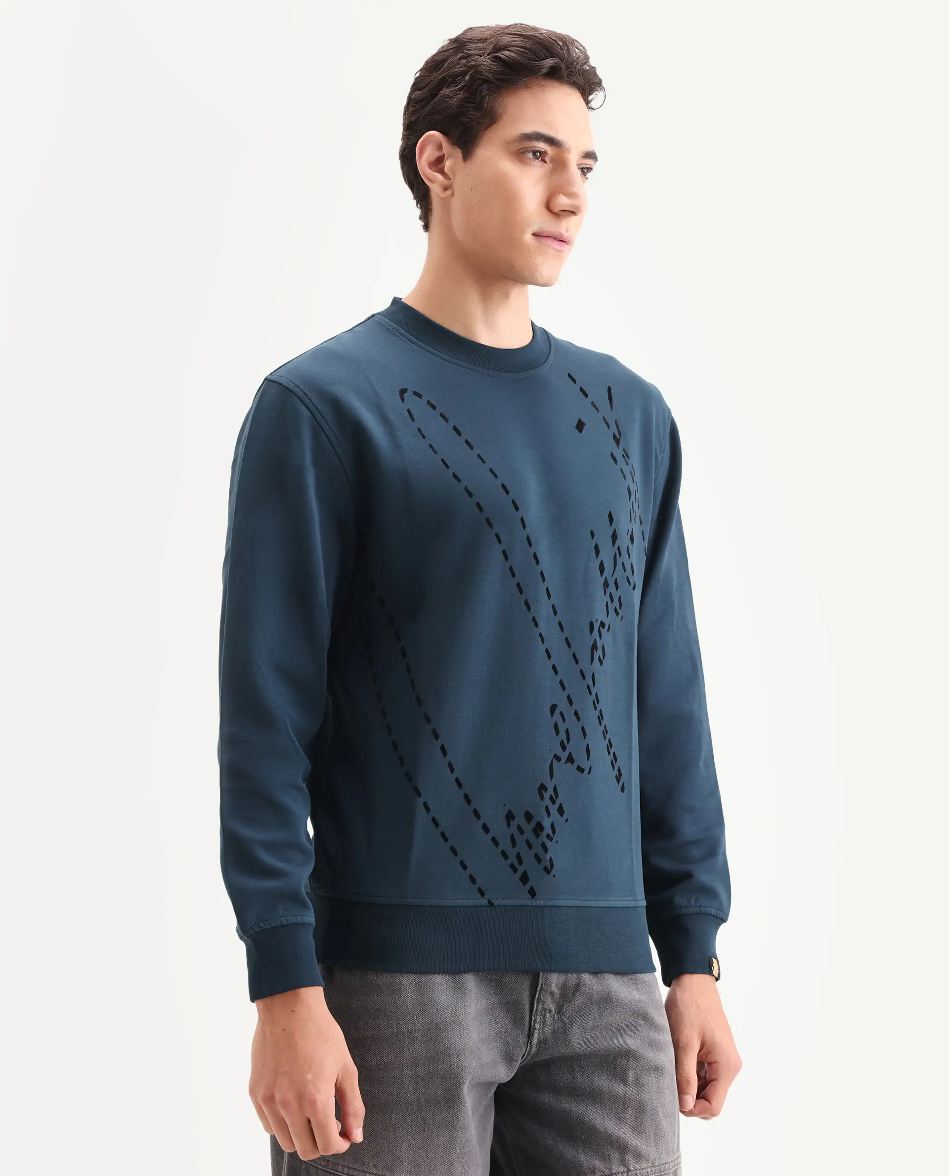 Rare Rabbit Men's Barak Teal Cotton Graphic Print Regular Fit Full Sleeve Crew Neck Sweatshirt - Image 6